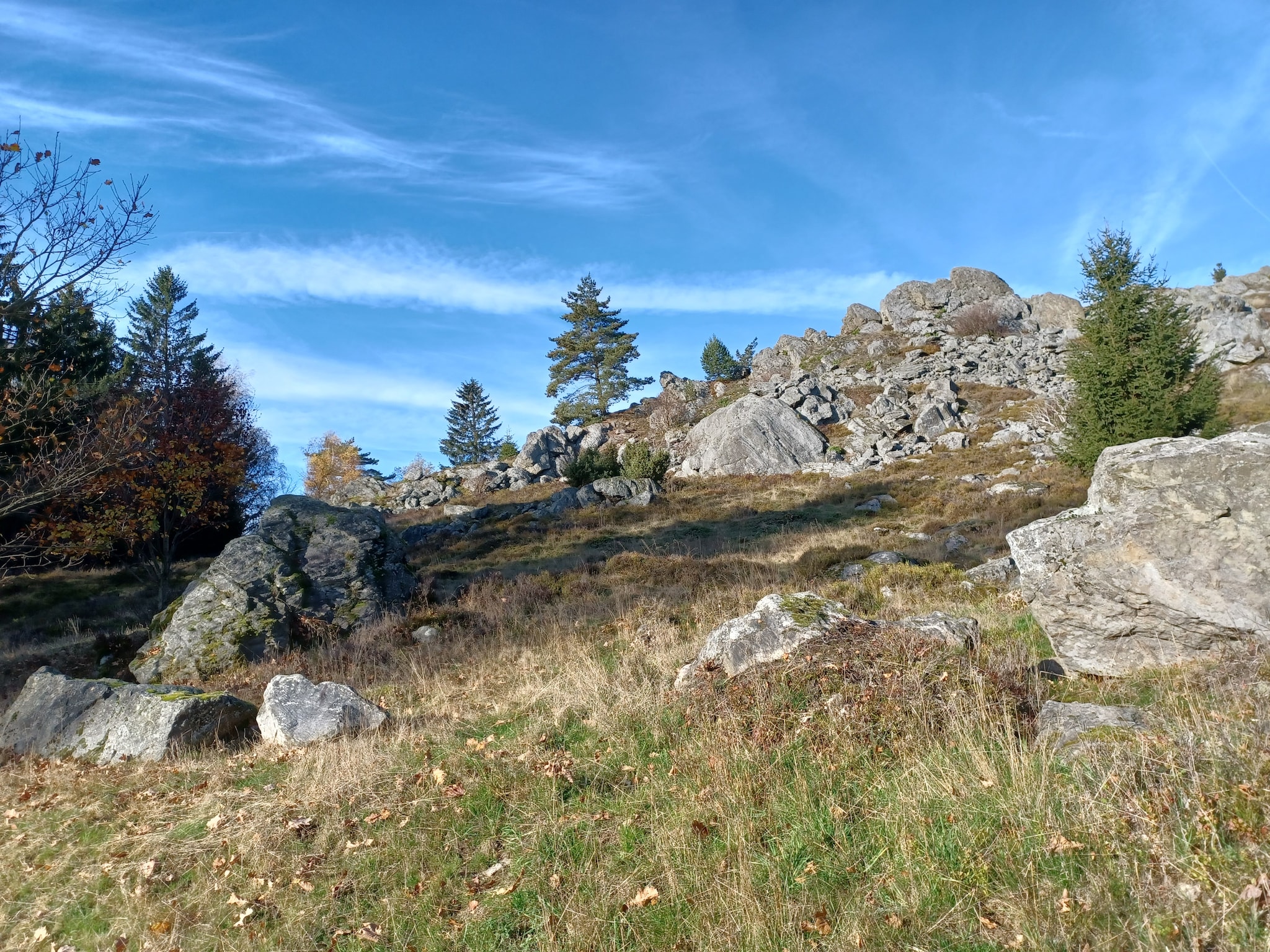   Am Hochfels