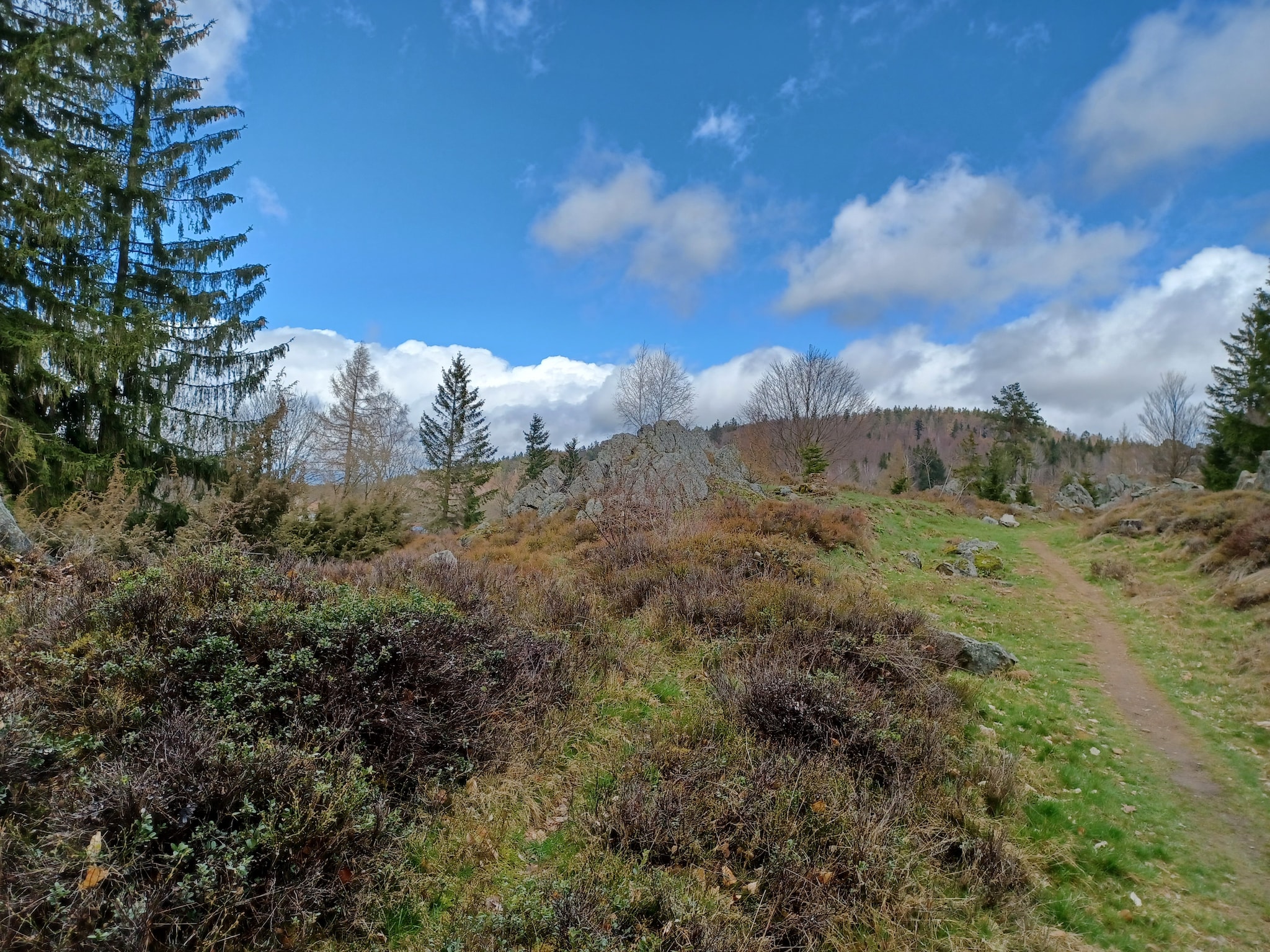   Am Hochfels