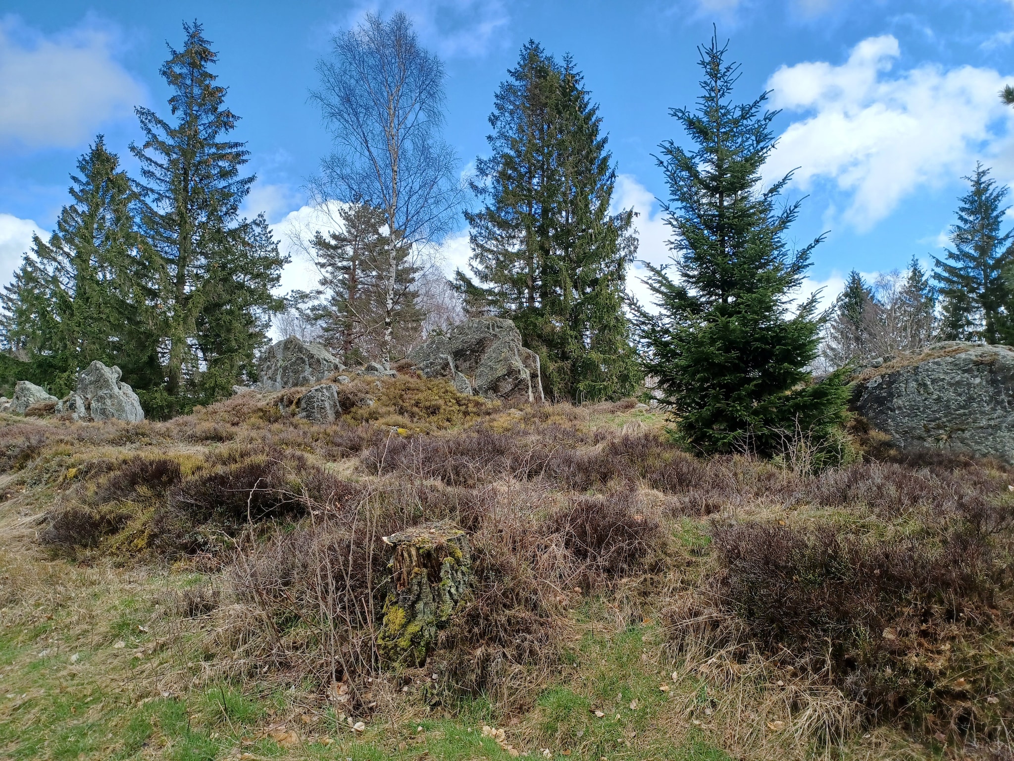   Am Hochfels