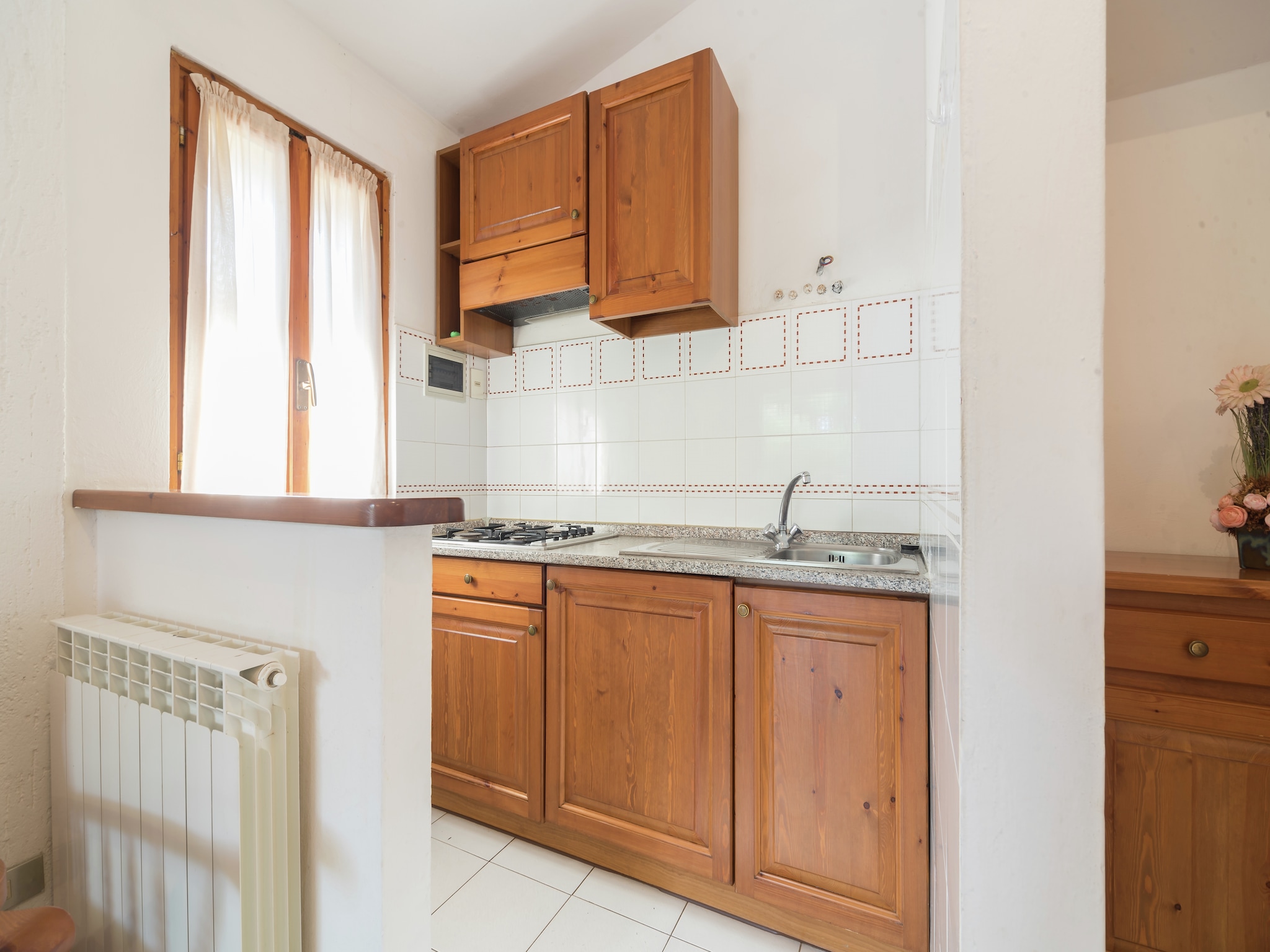 Apartment Iana
