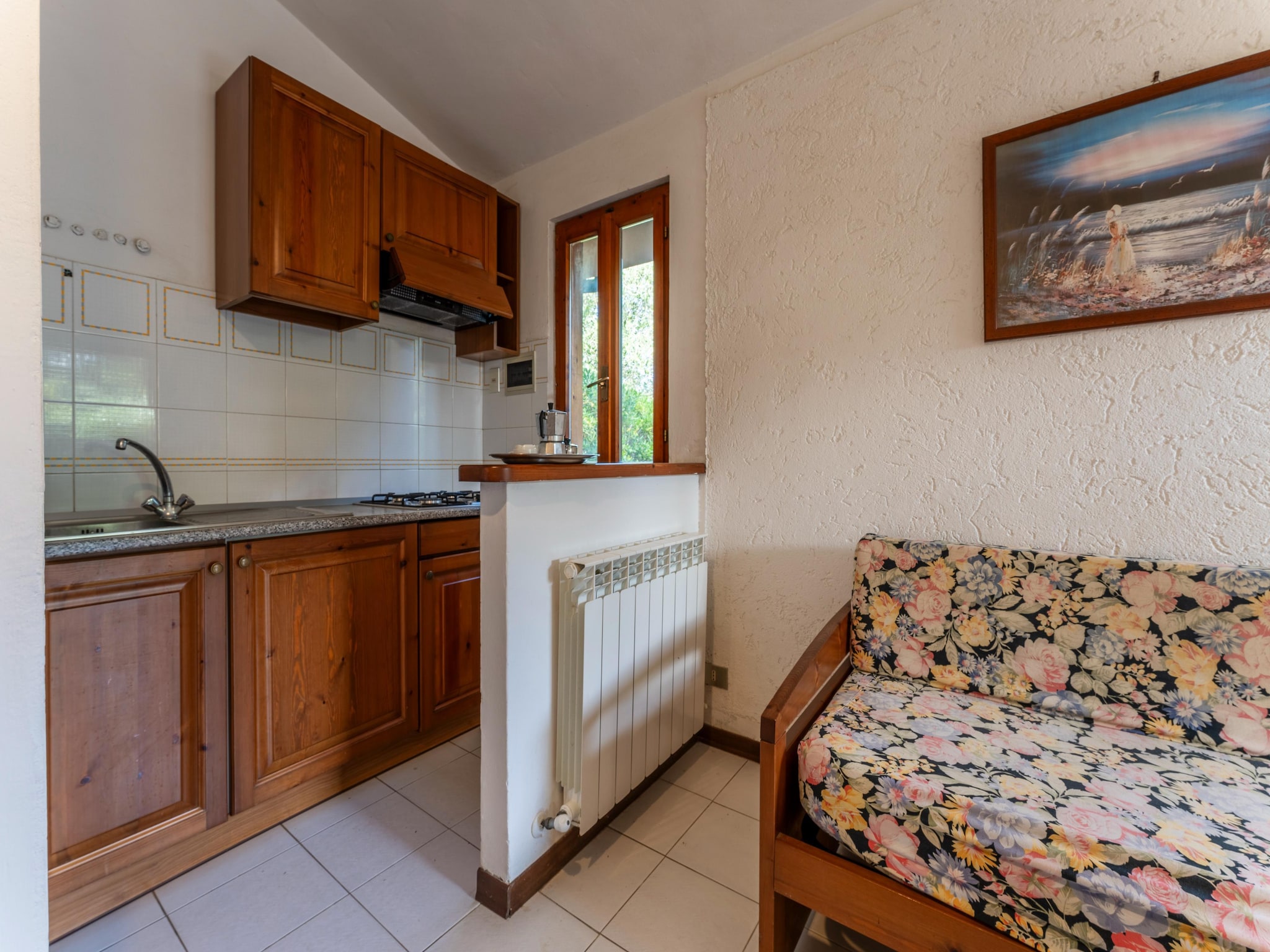Apartment Iana