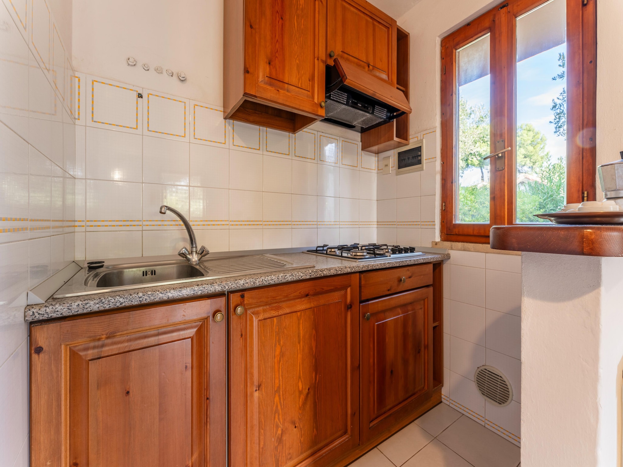 Apartment Iana