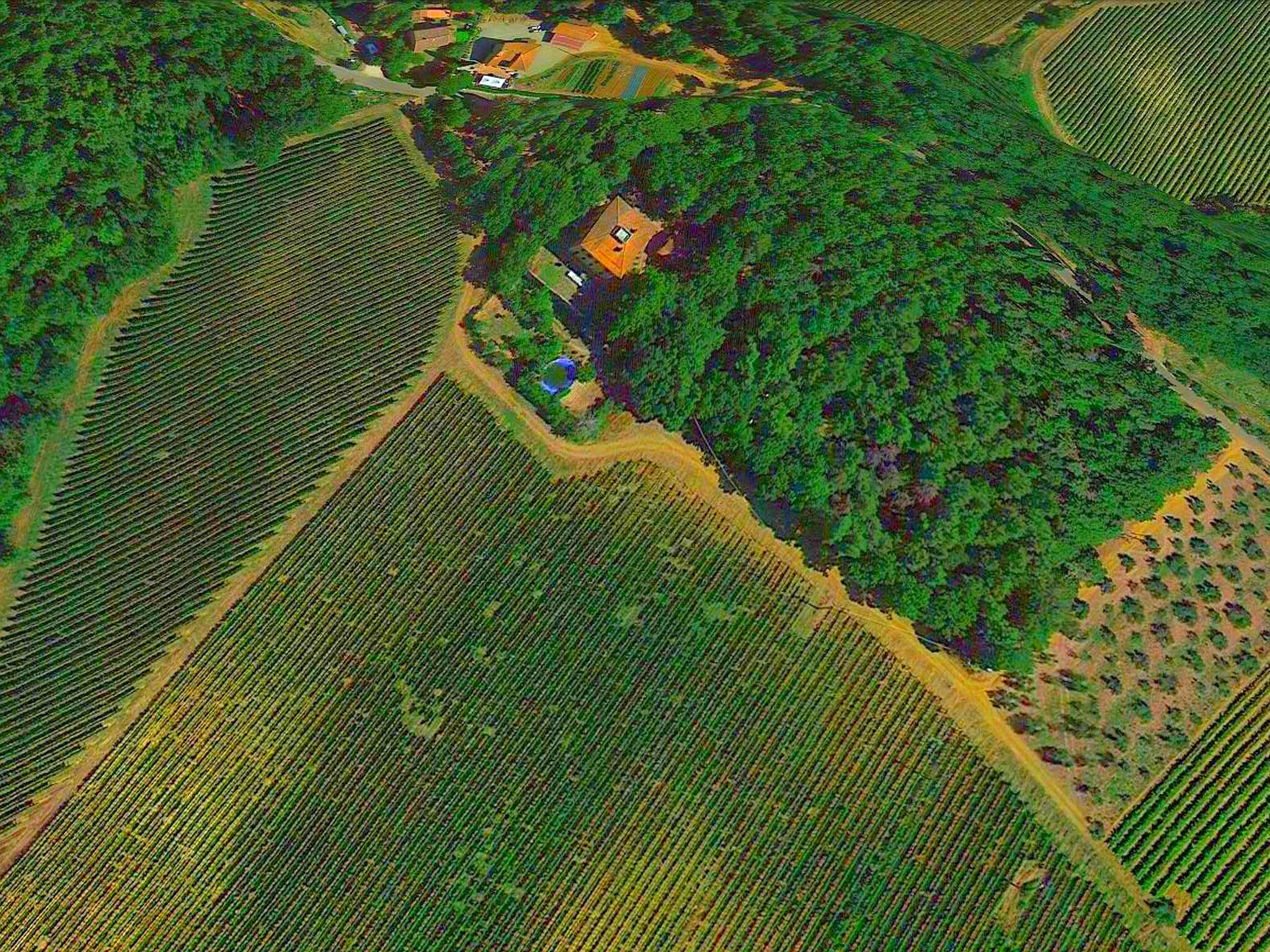   Terra Nisa