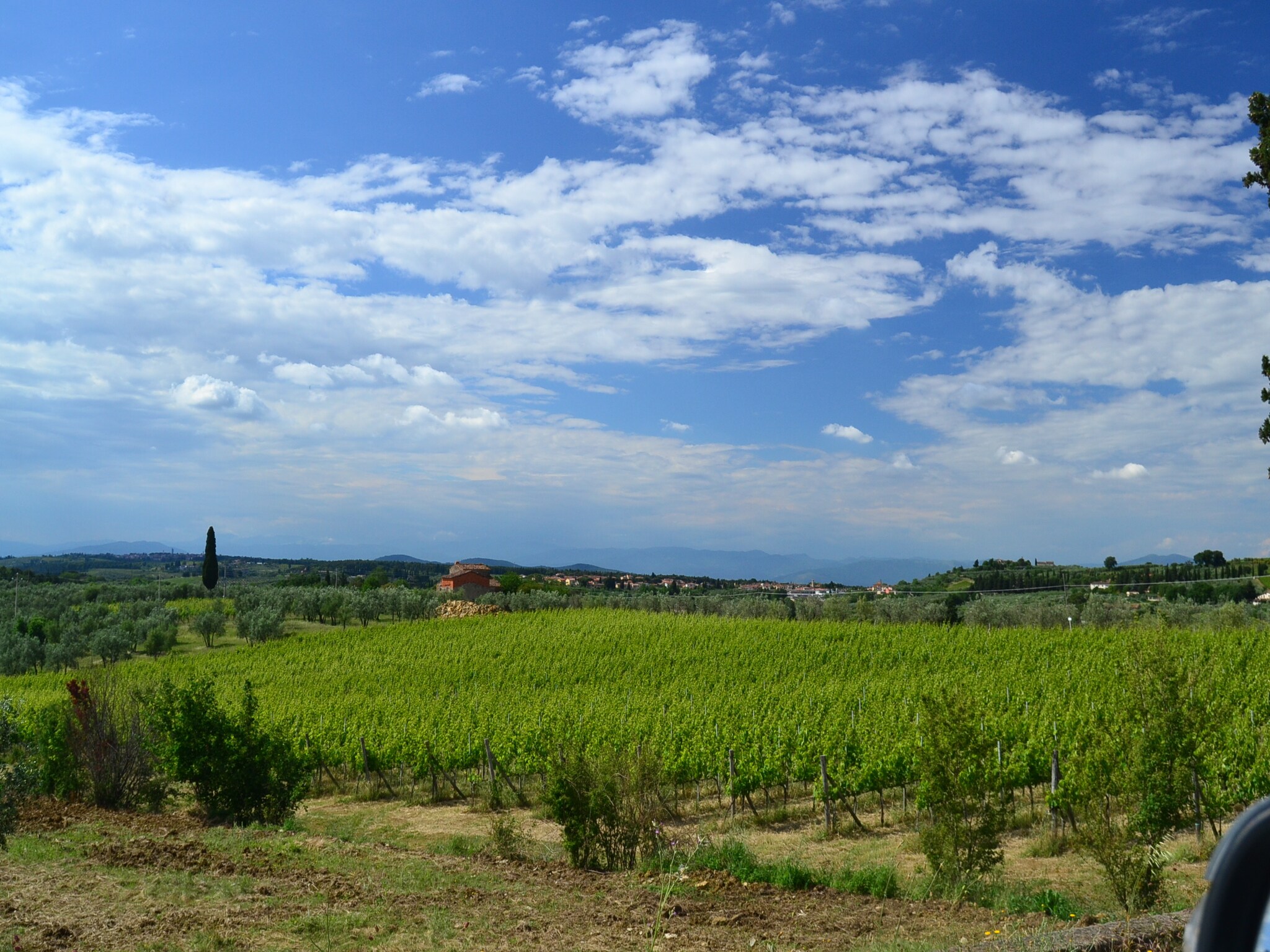   Terra Nisa