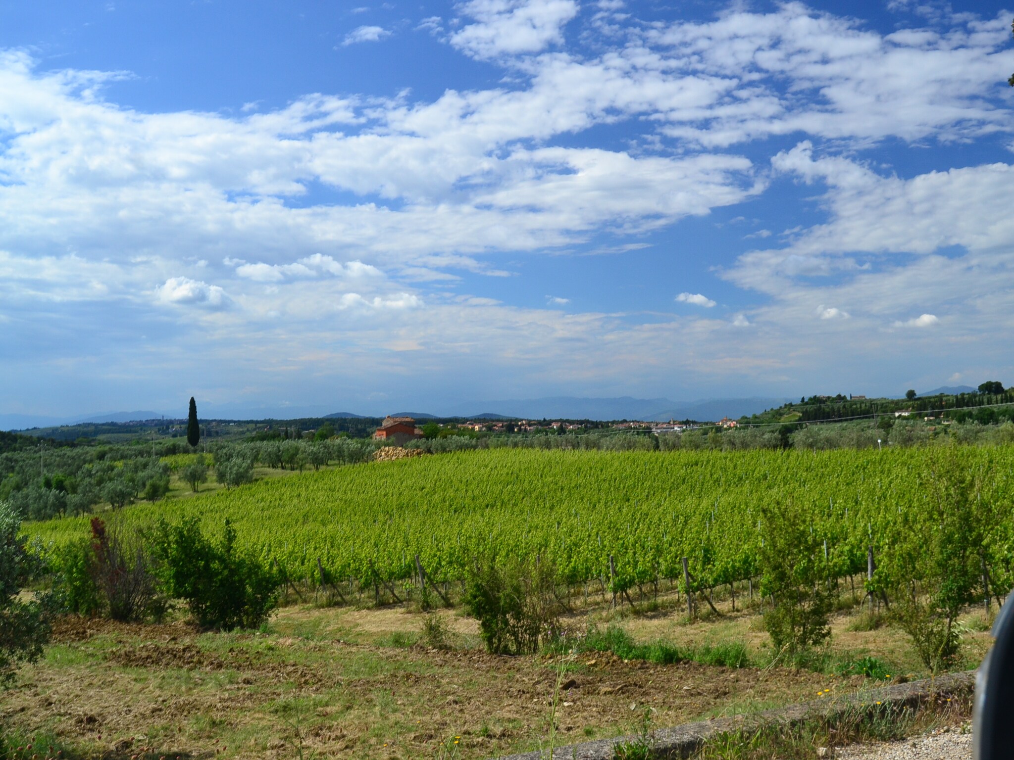   Terra Nisa