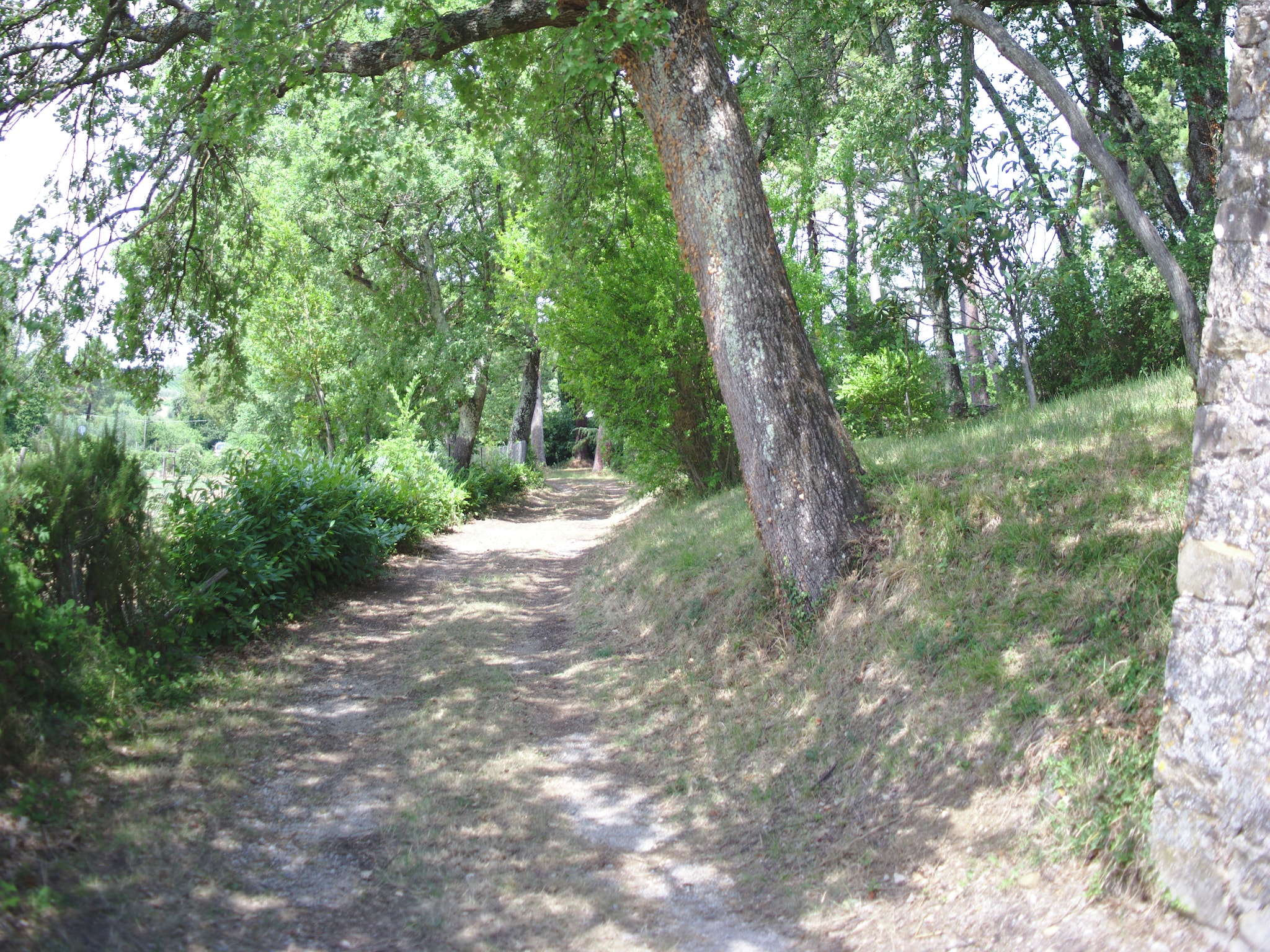   Terra Nisa