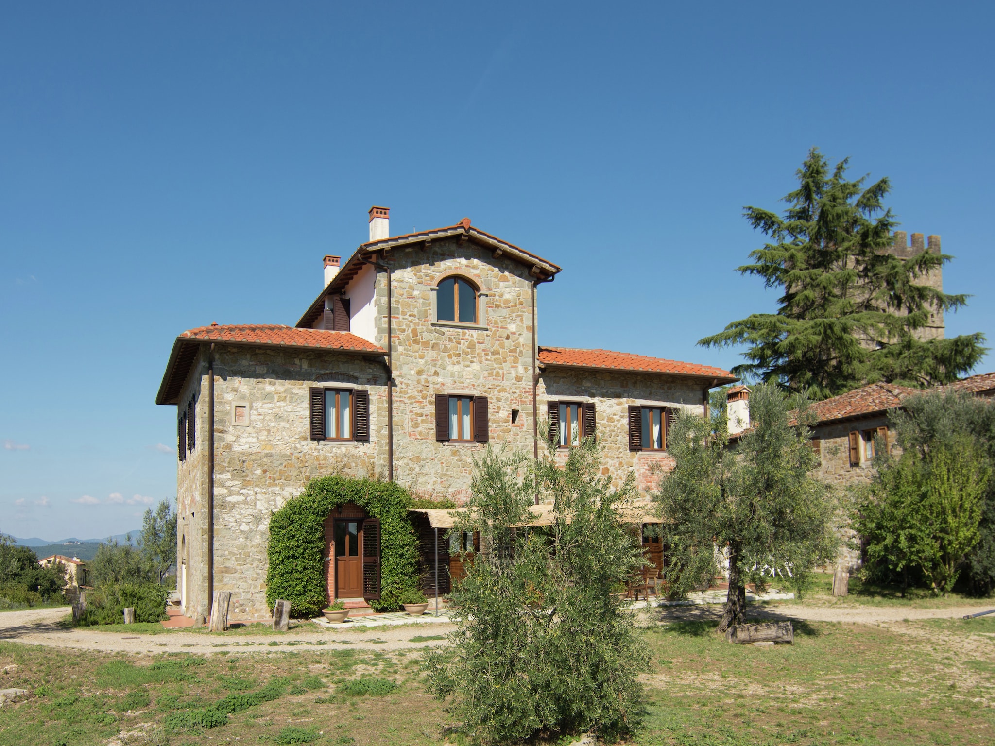   Sangiovese