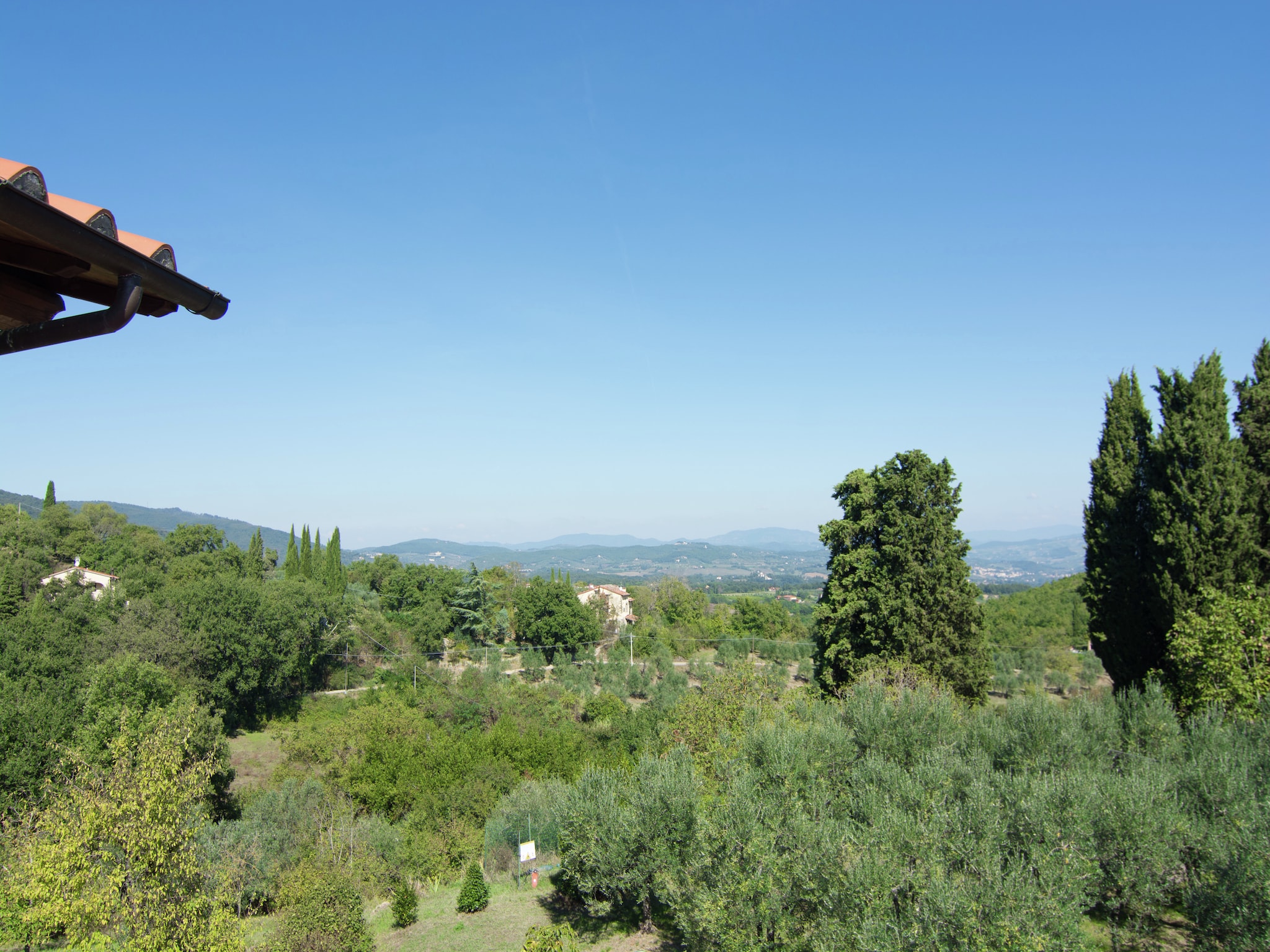   Sangiovese