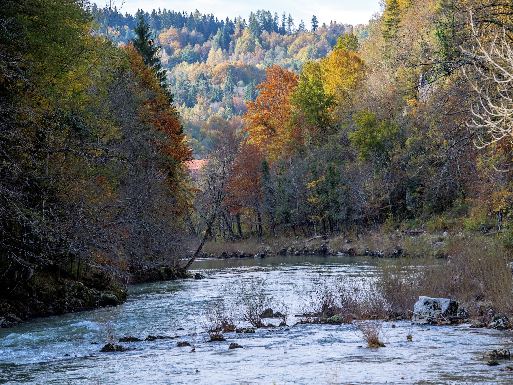   River Canyon