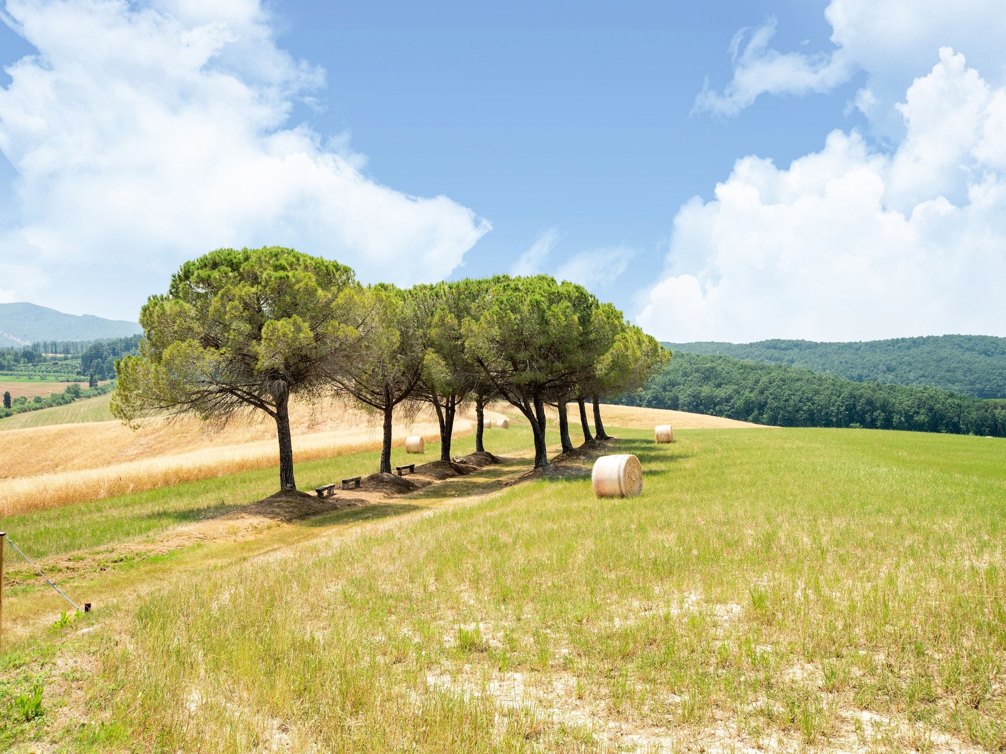 Ferienhaus Oliveta