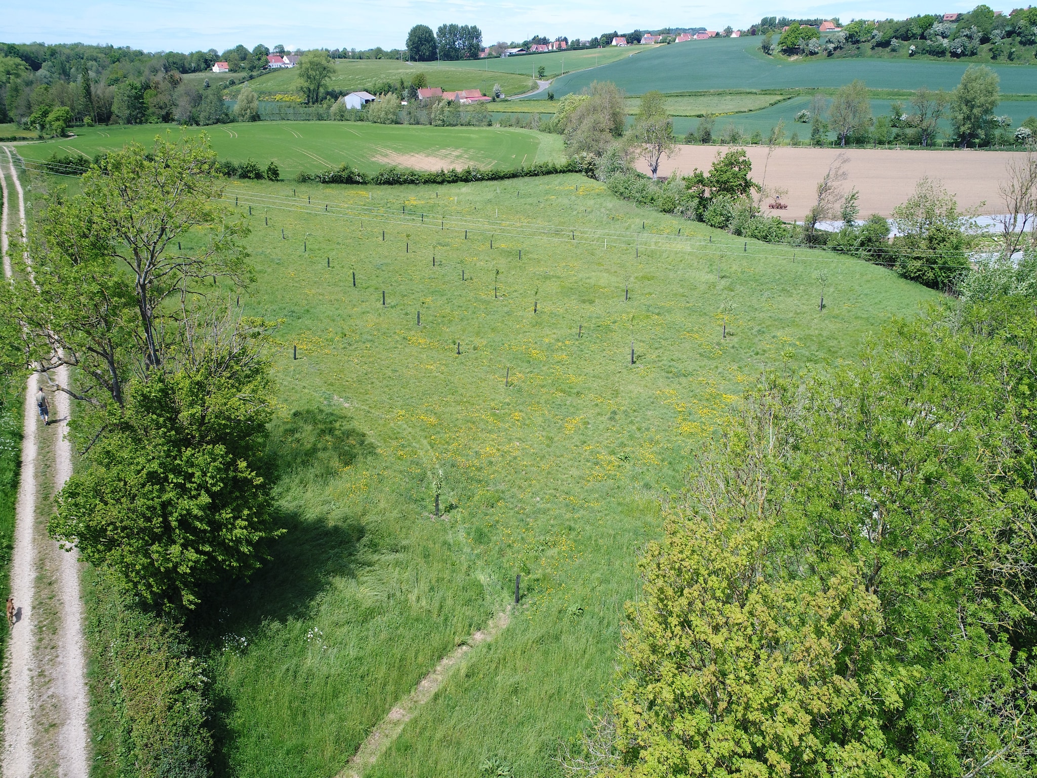   Sainte Godeleine