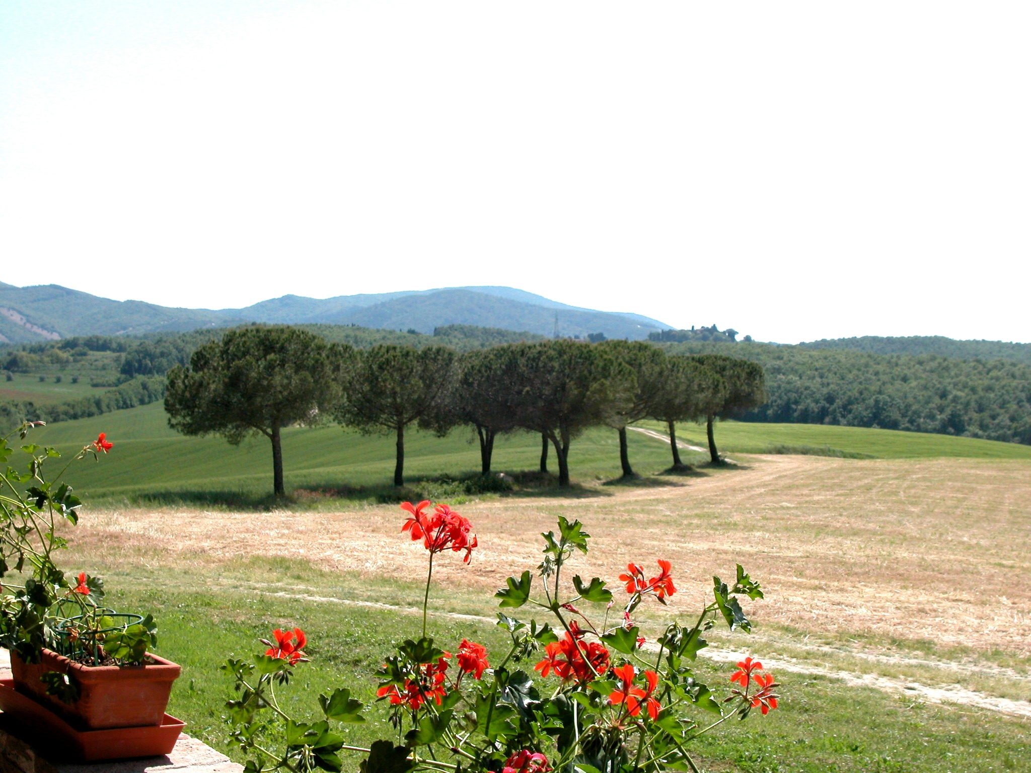 Ferienhaus I Frutti