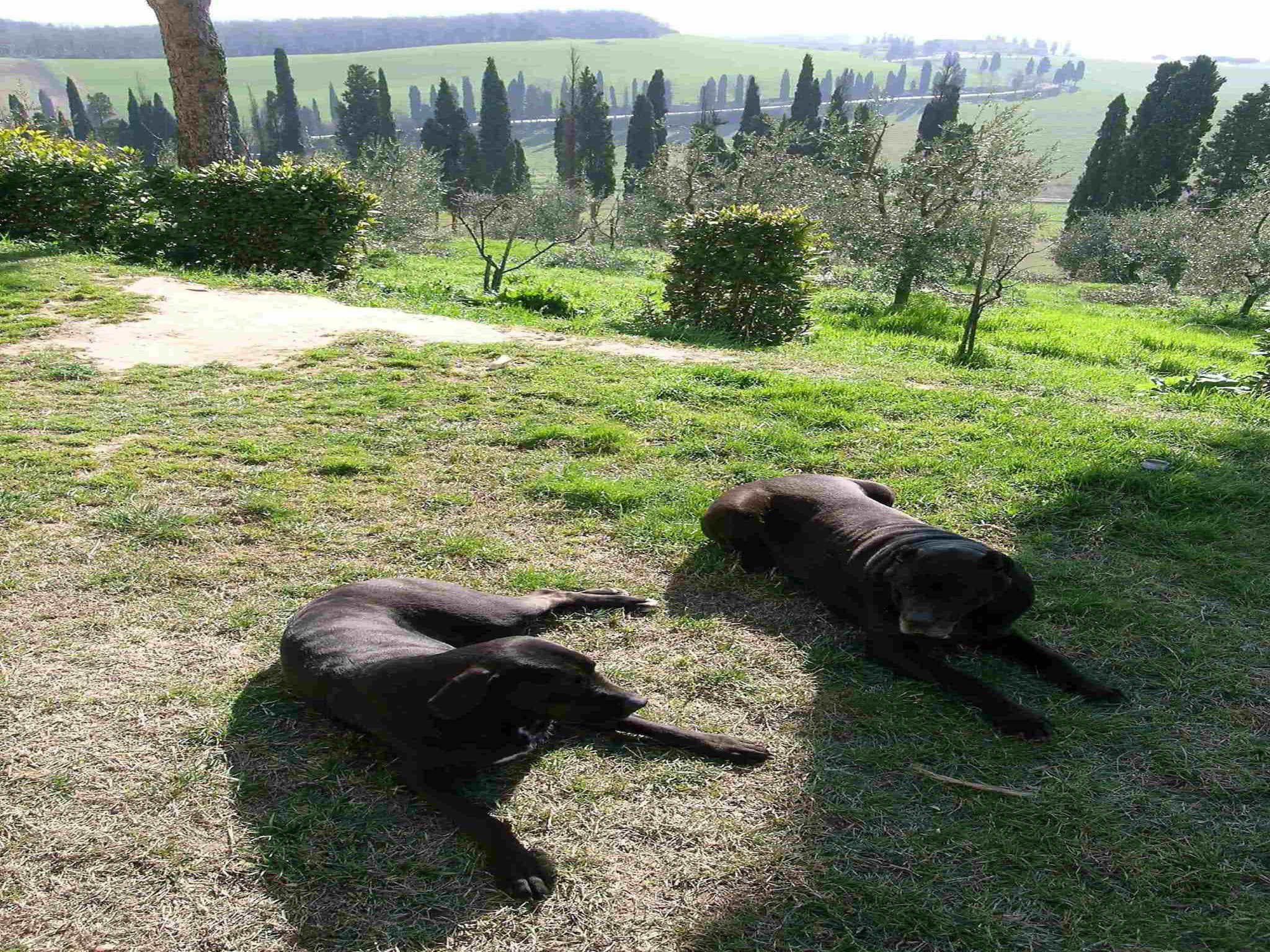 Ferienhaus I Frutti
