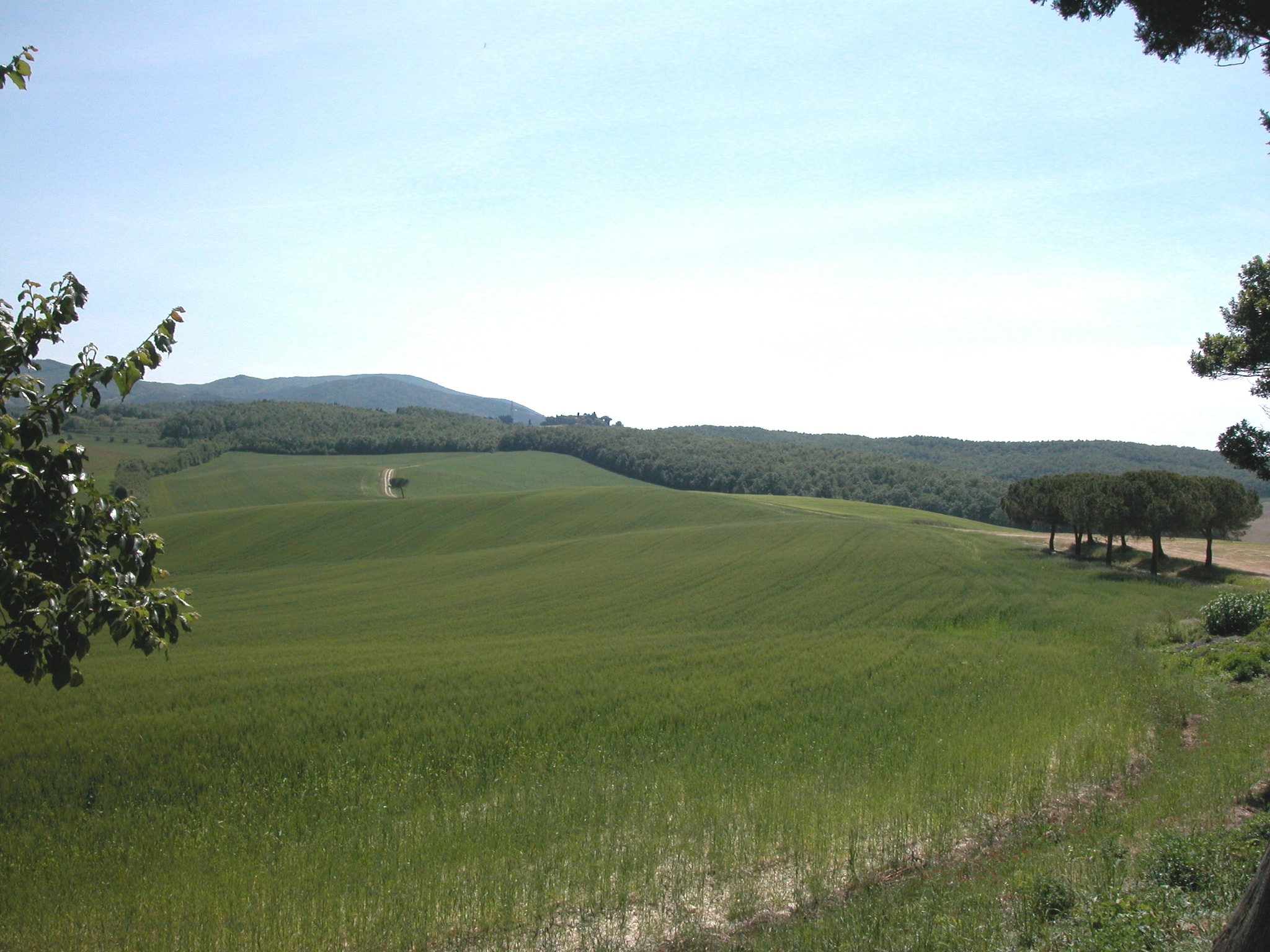 Ferienhaus I Frutti