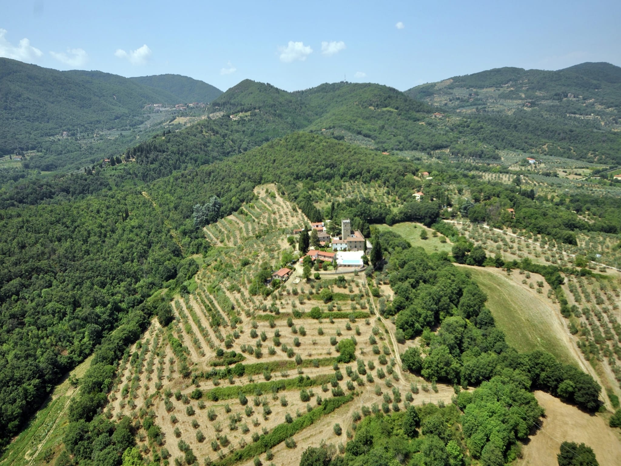  Camino Ugo