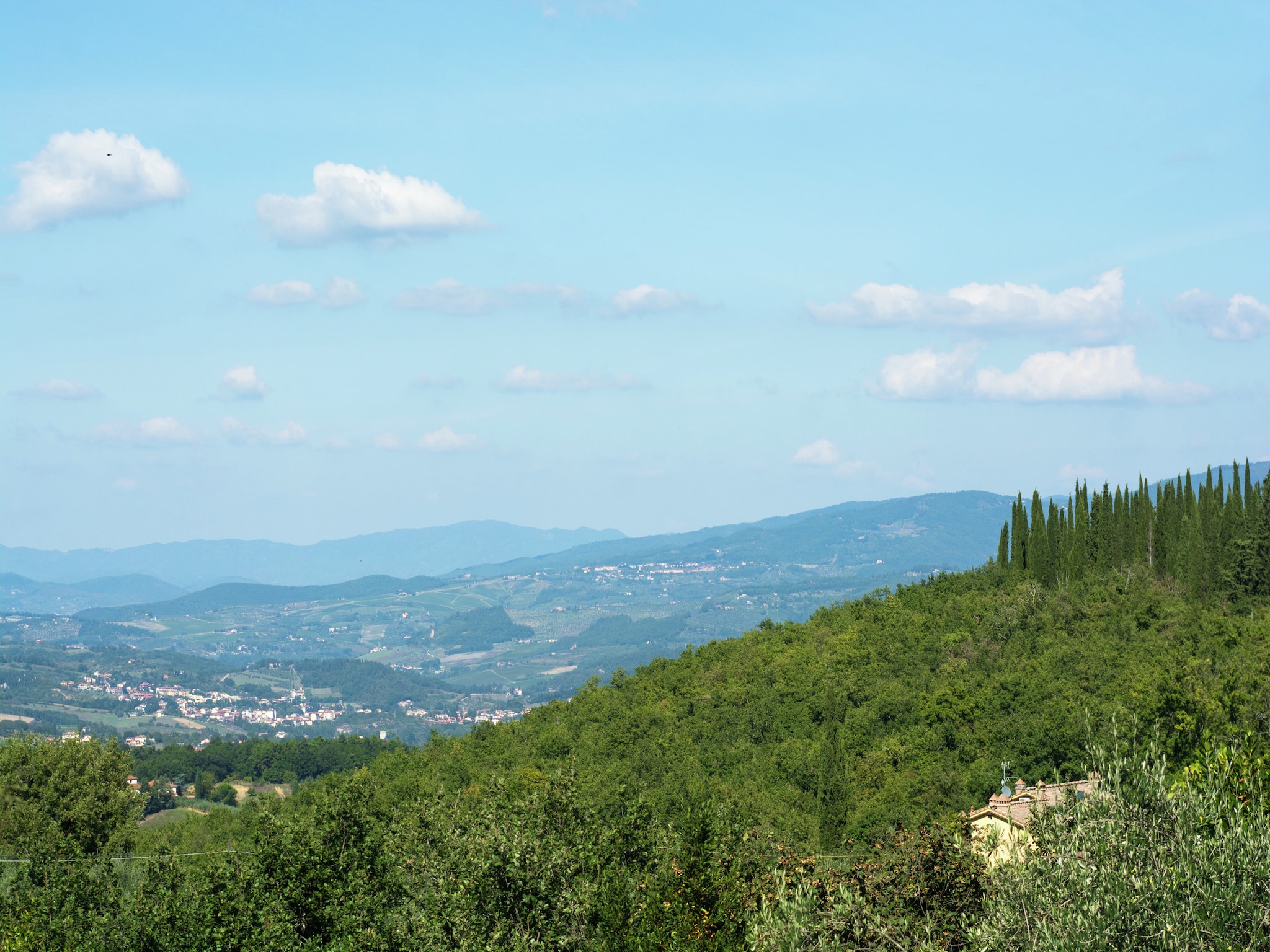   Camino Ugo