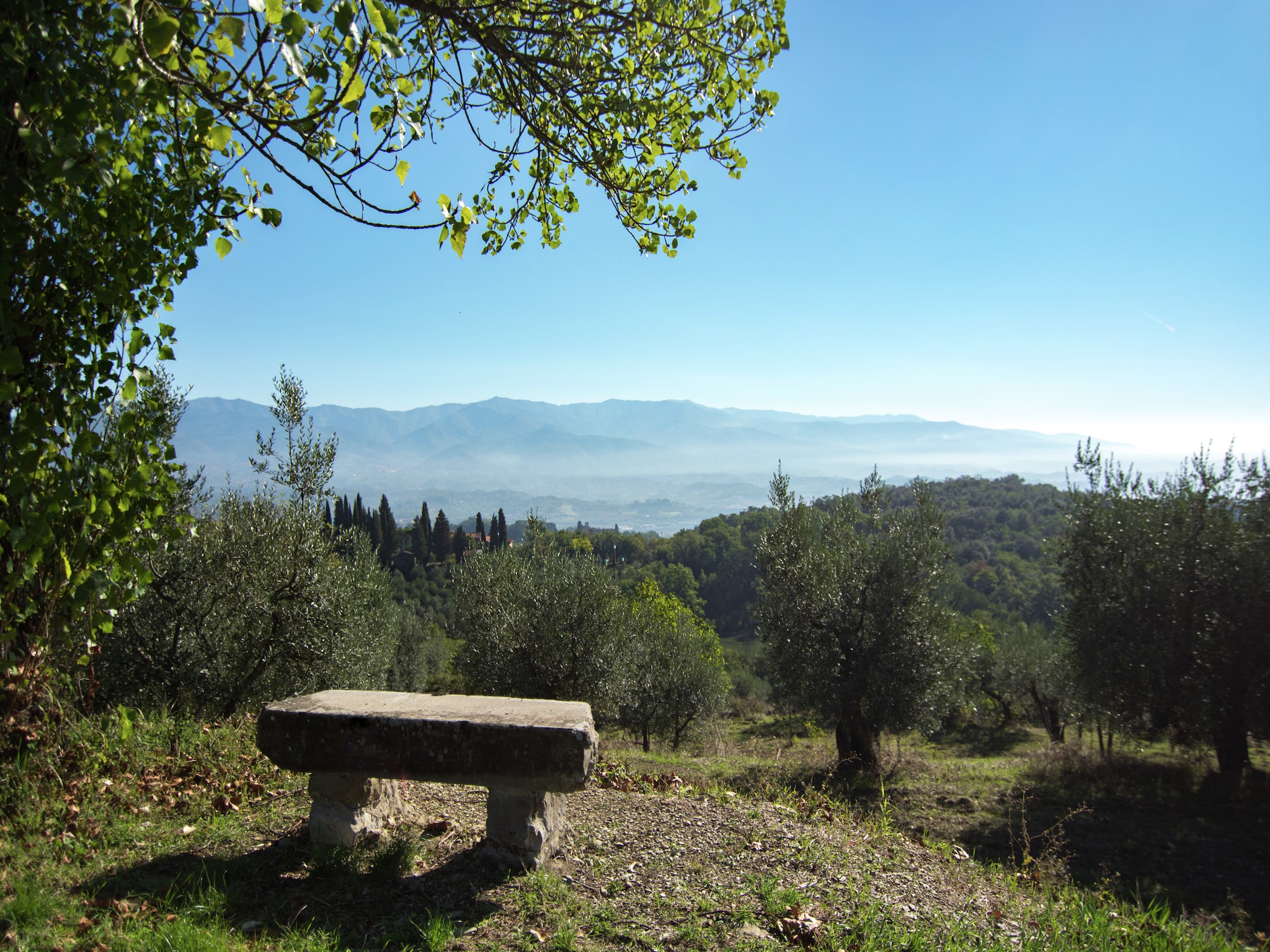   Camino Ugo