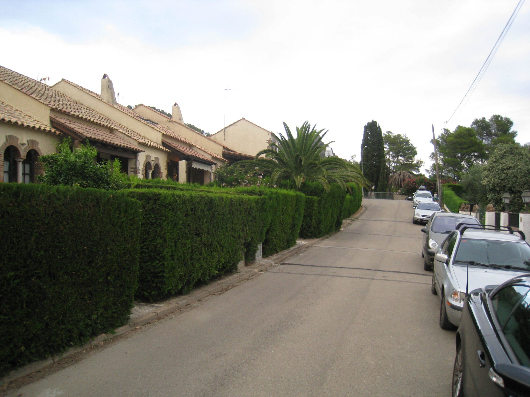   Les Oliveres 32