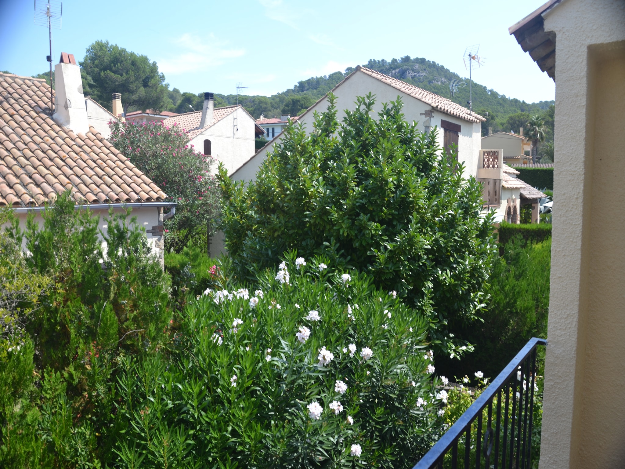   Les Oliveres 32