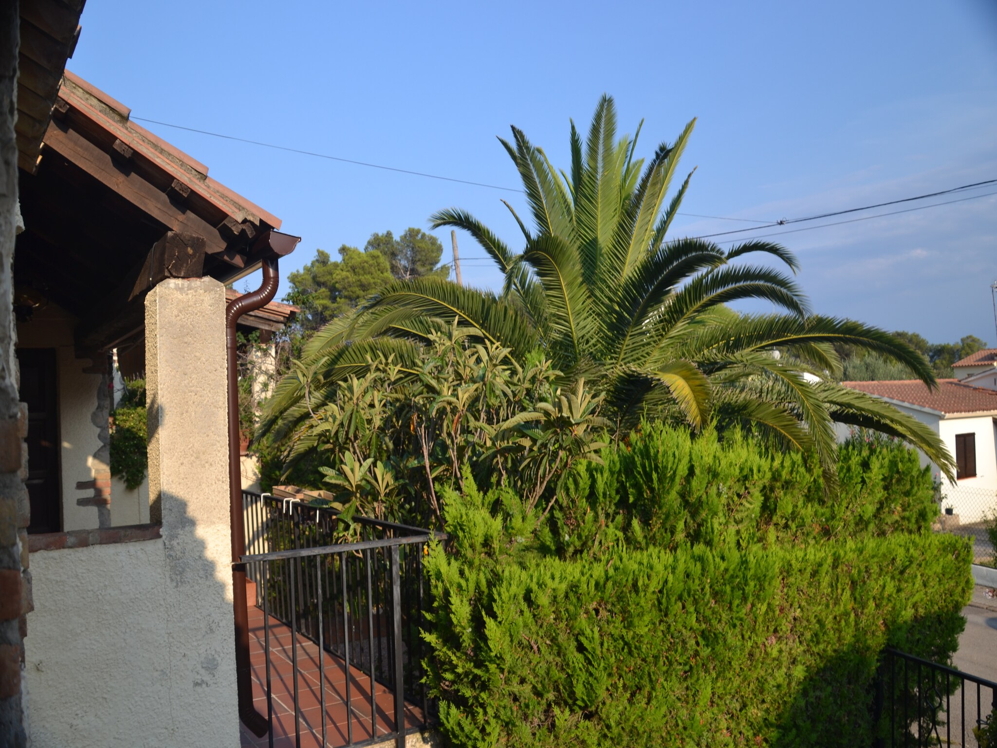   Les Oliveres 32