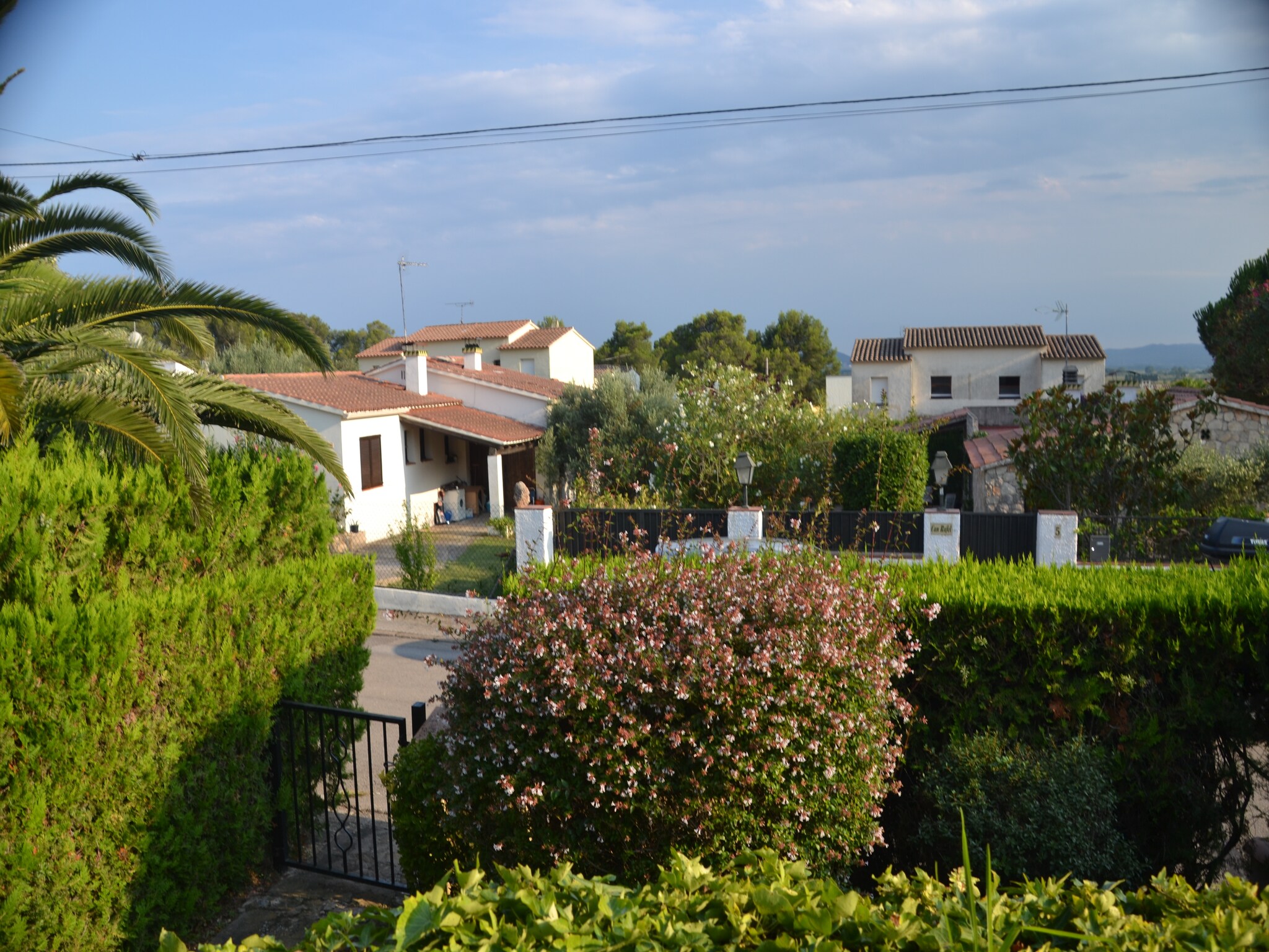   Les Oliveres 32