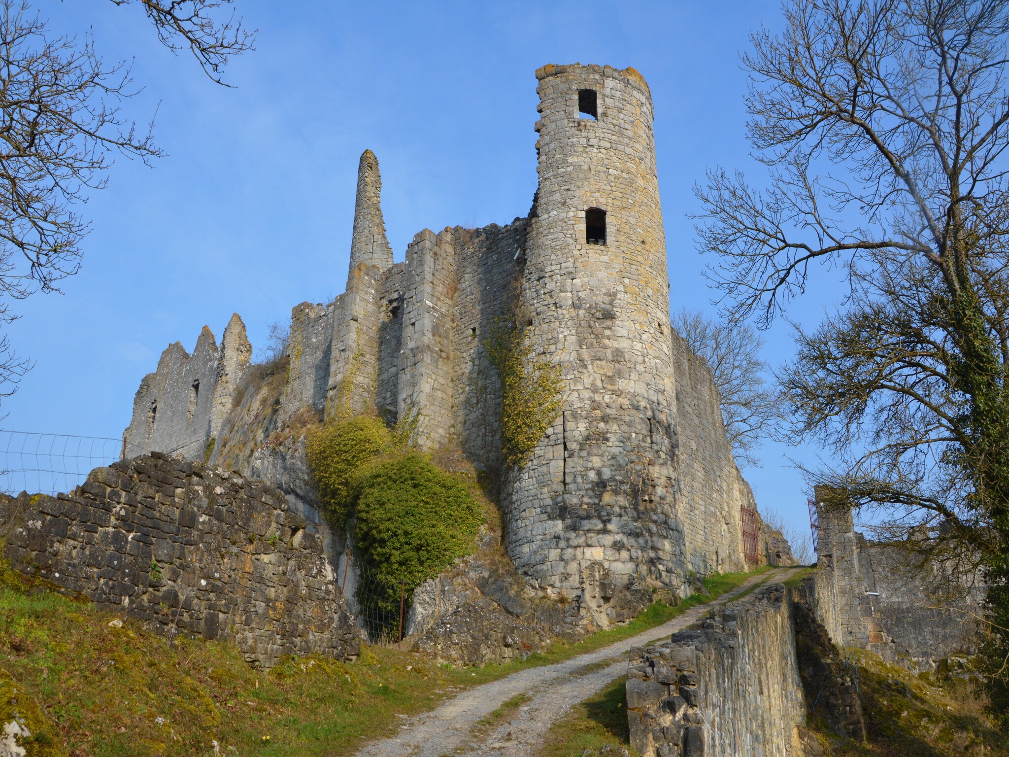   Vue sur le Chateau de Montaigle