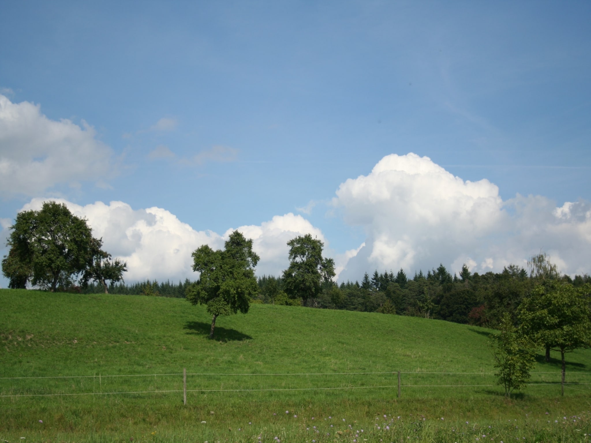 Mieszkanie Am Bodensee