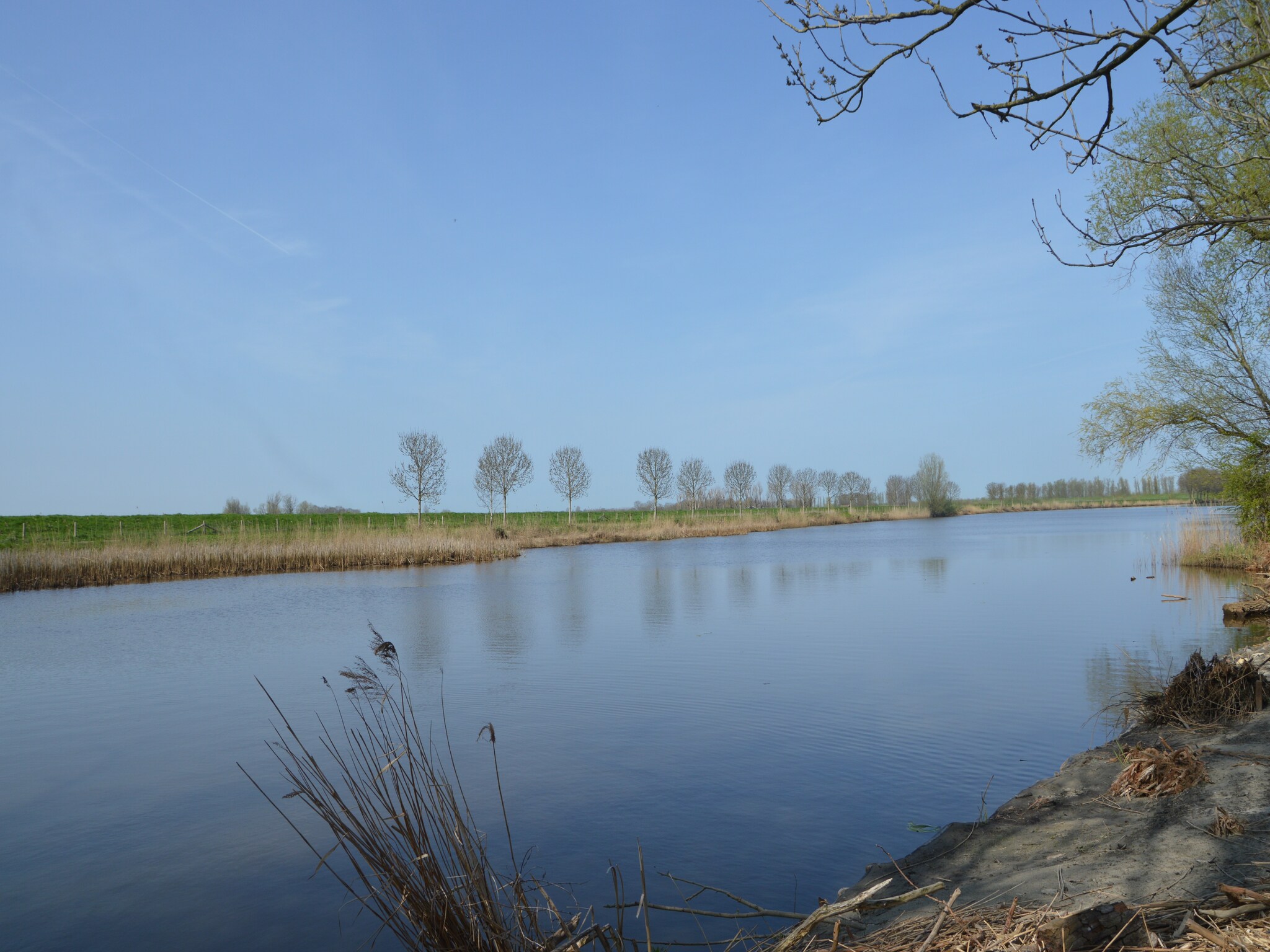   Het Biesbosch huisje