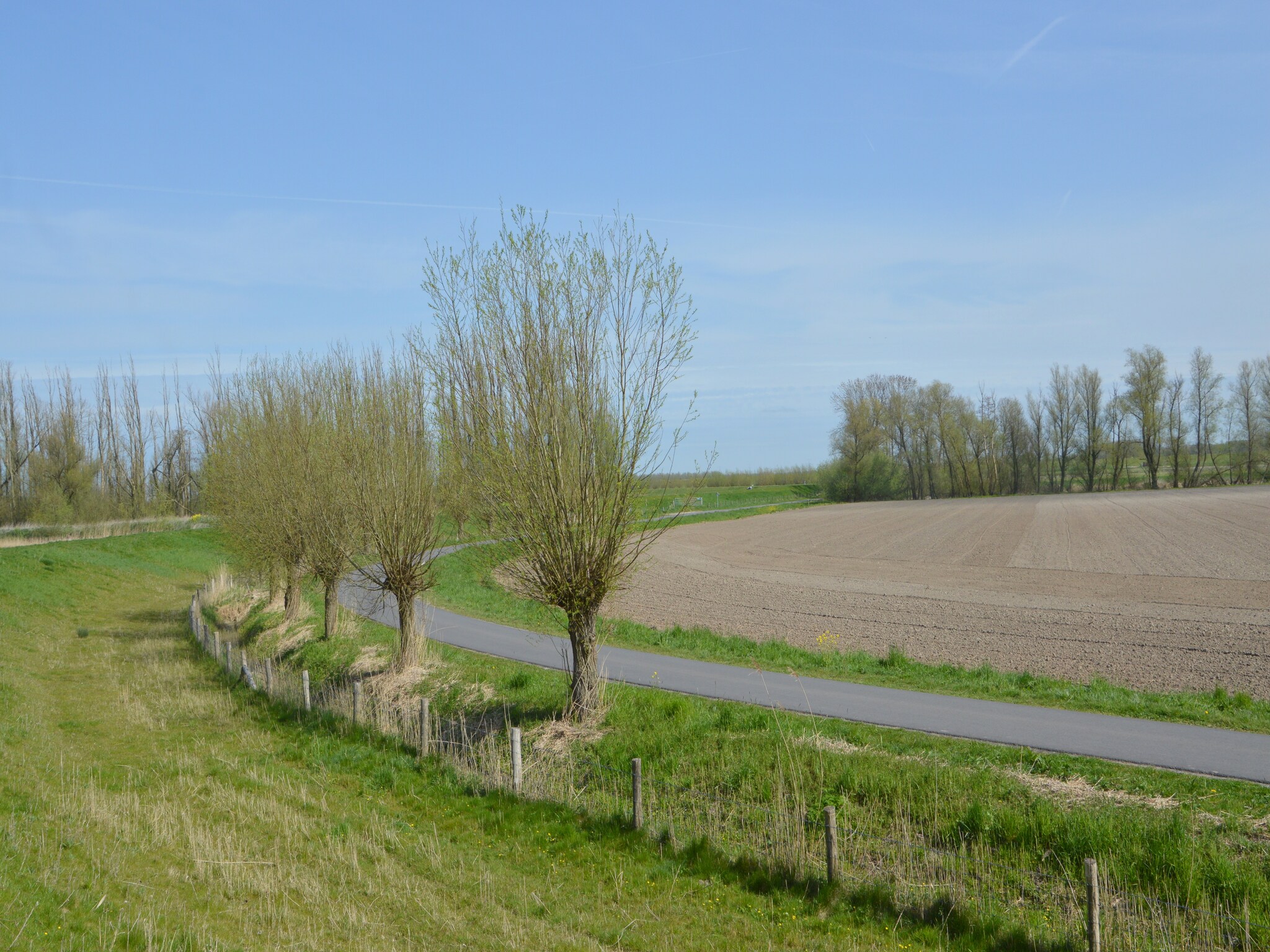   Het Biesbosch huisje