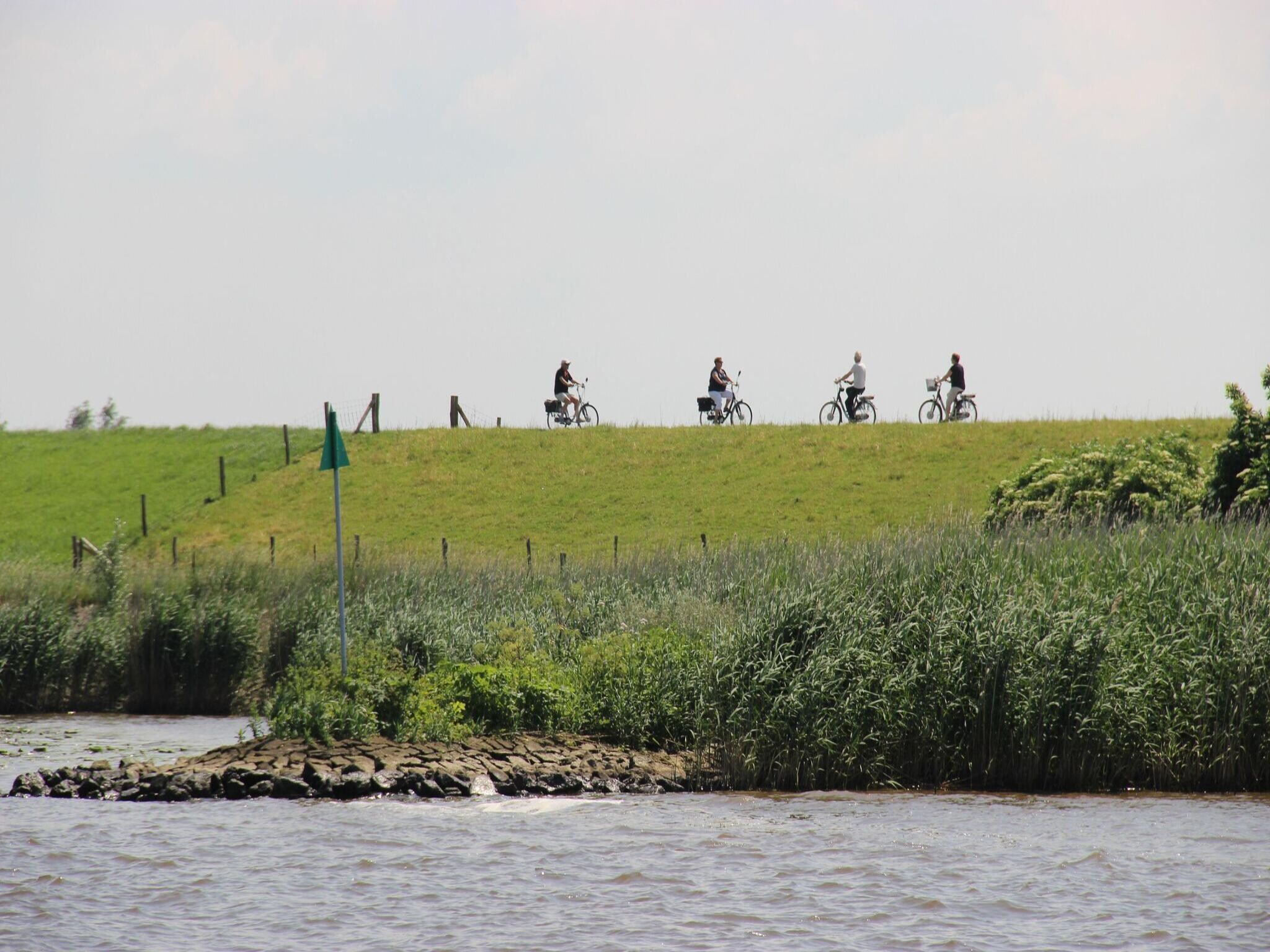   Het Biesbosch huisje