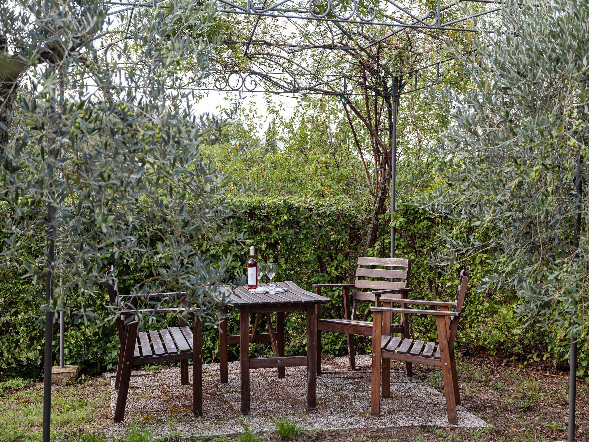   Trebbiano