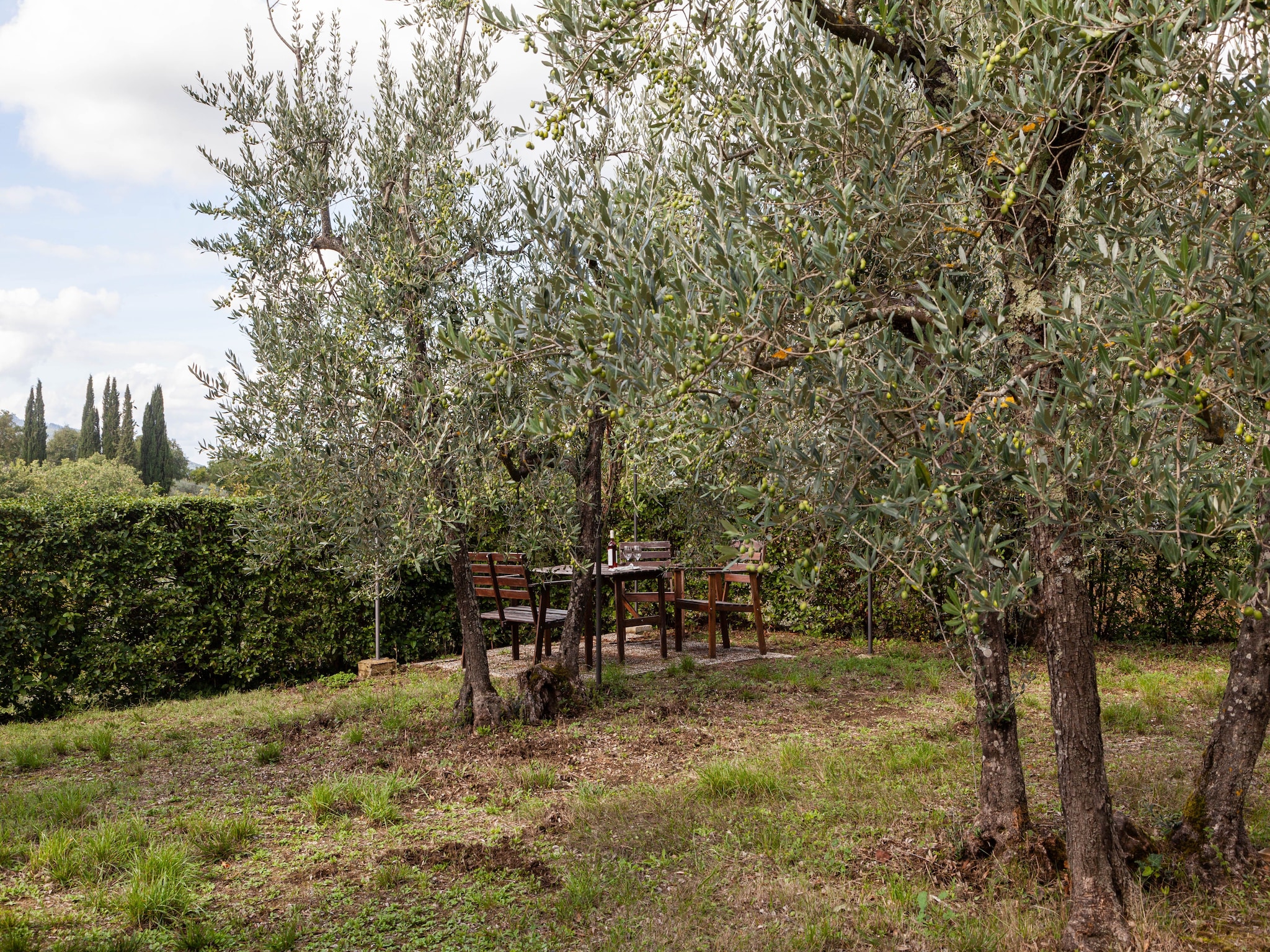   Trebbiano