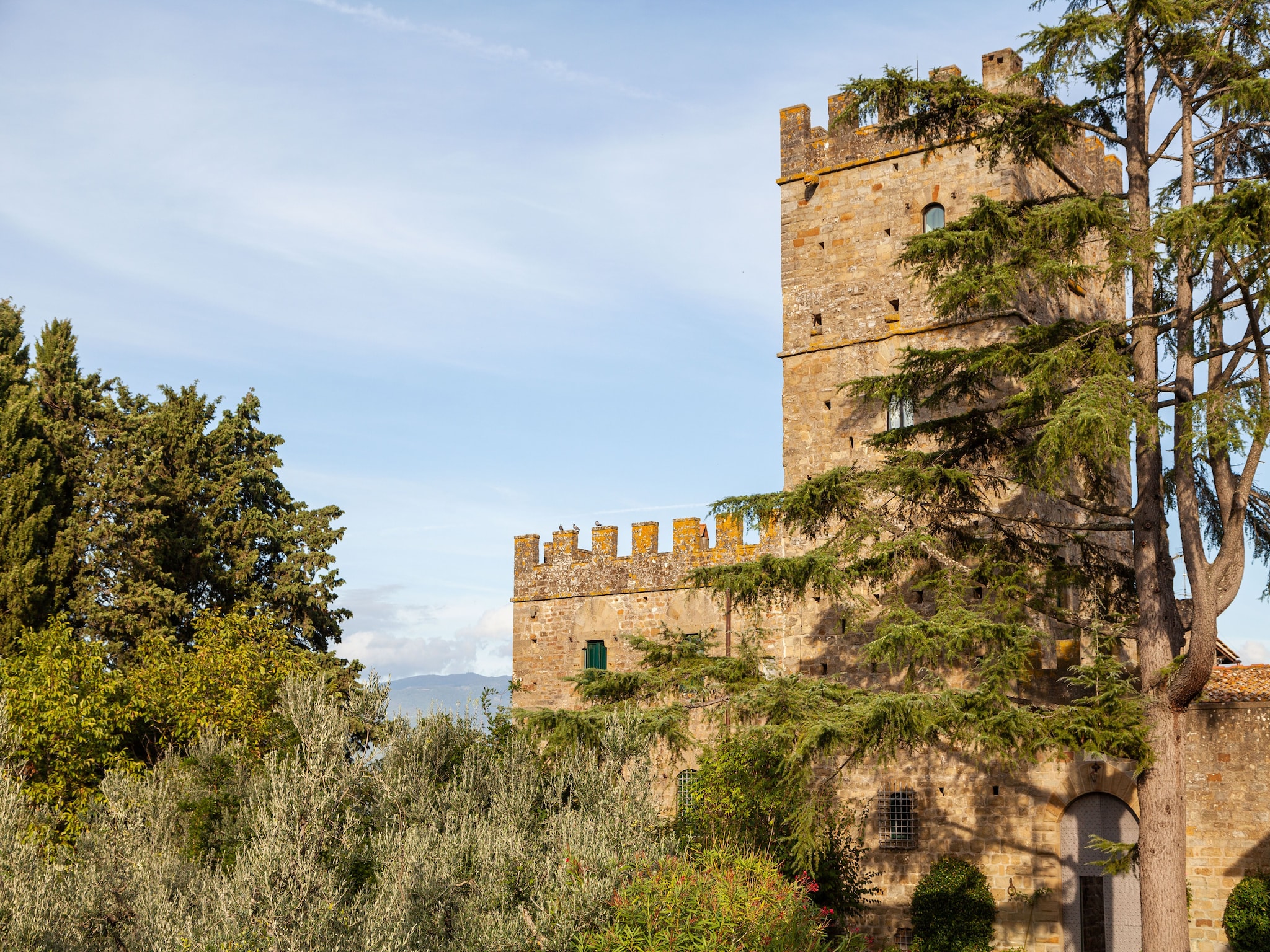   Trebbiano