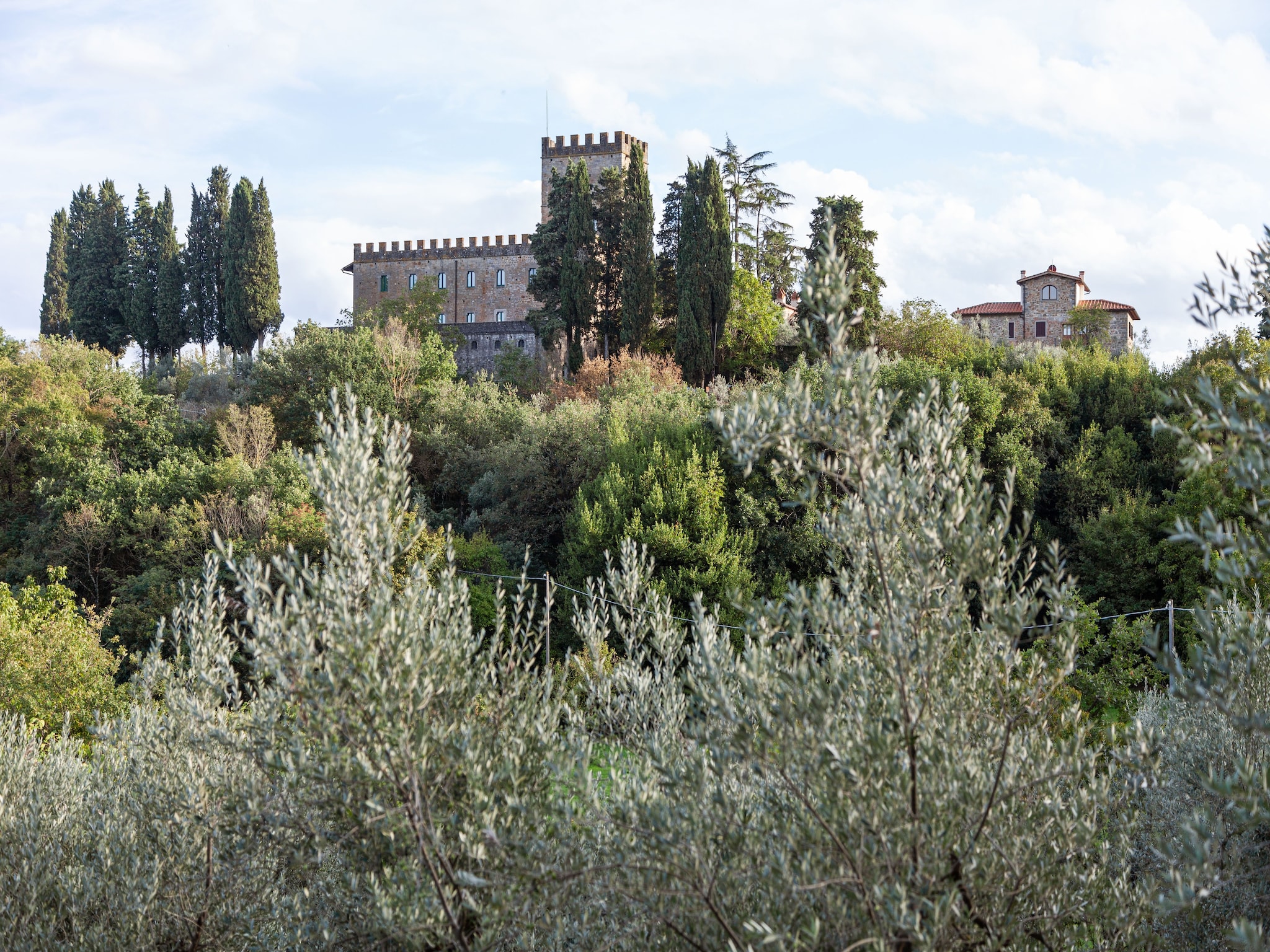  Trebbiano