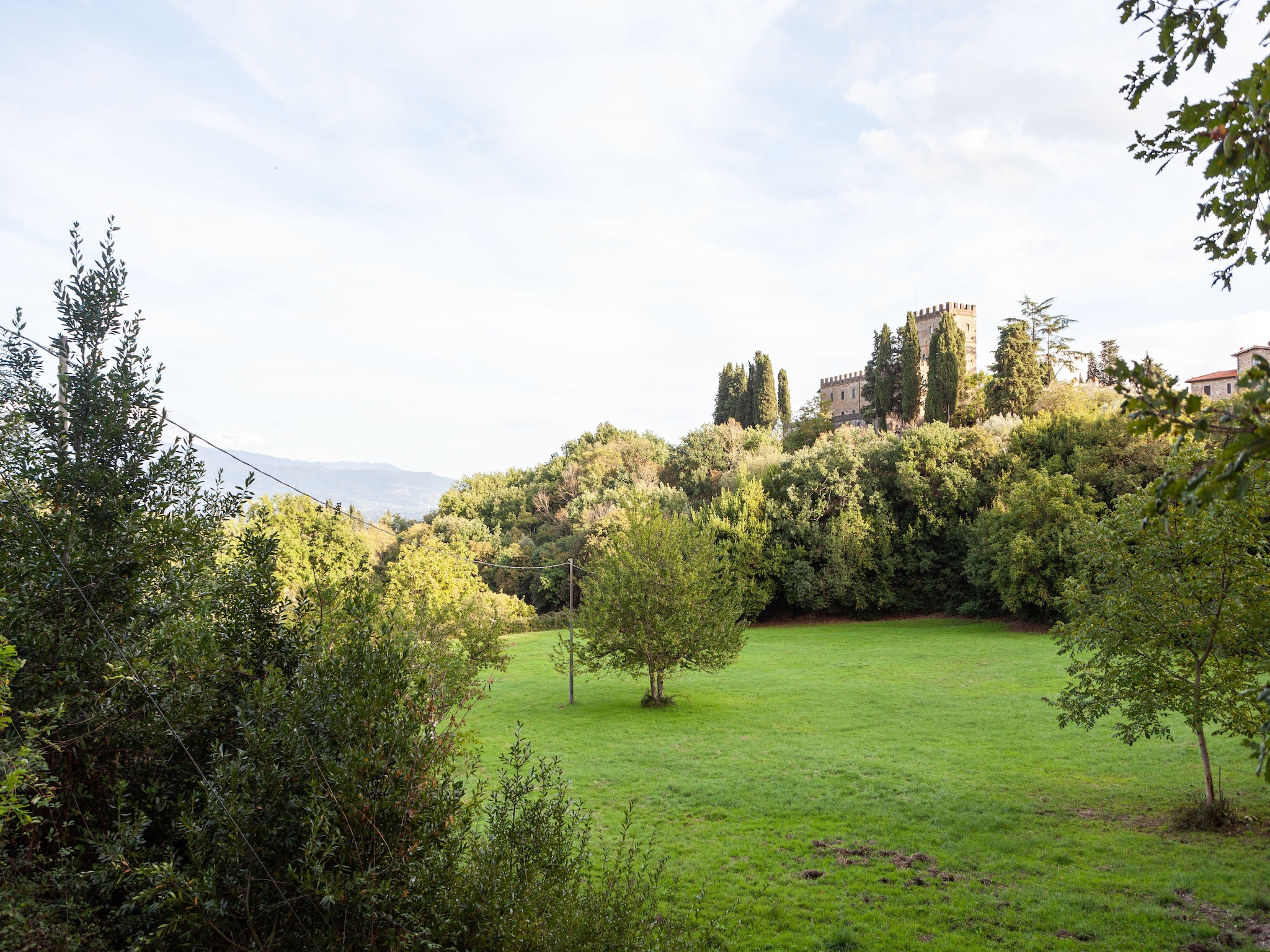   Trebbiano