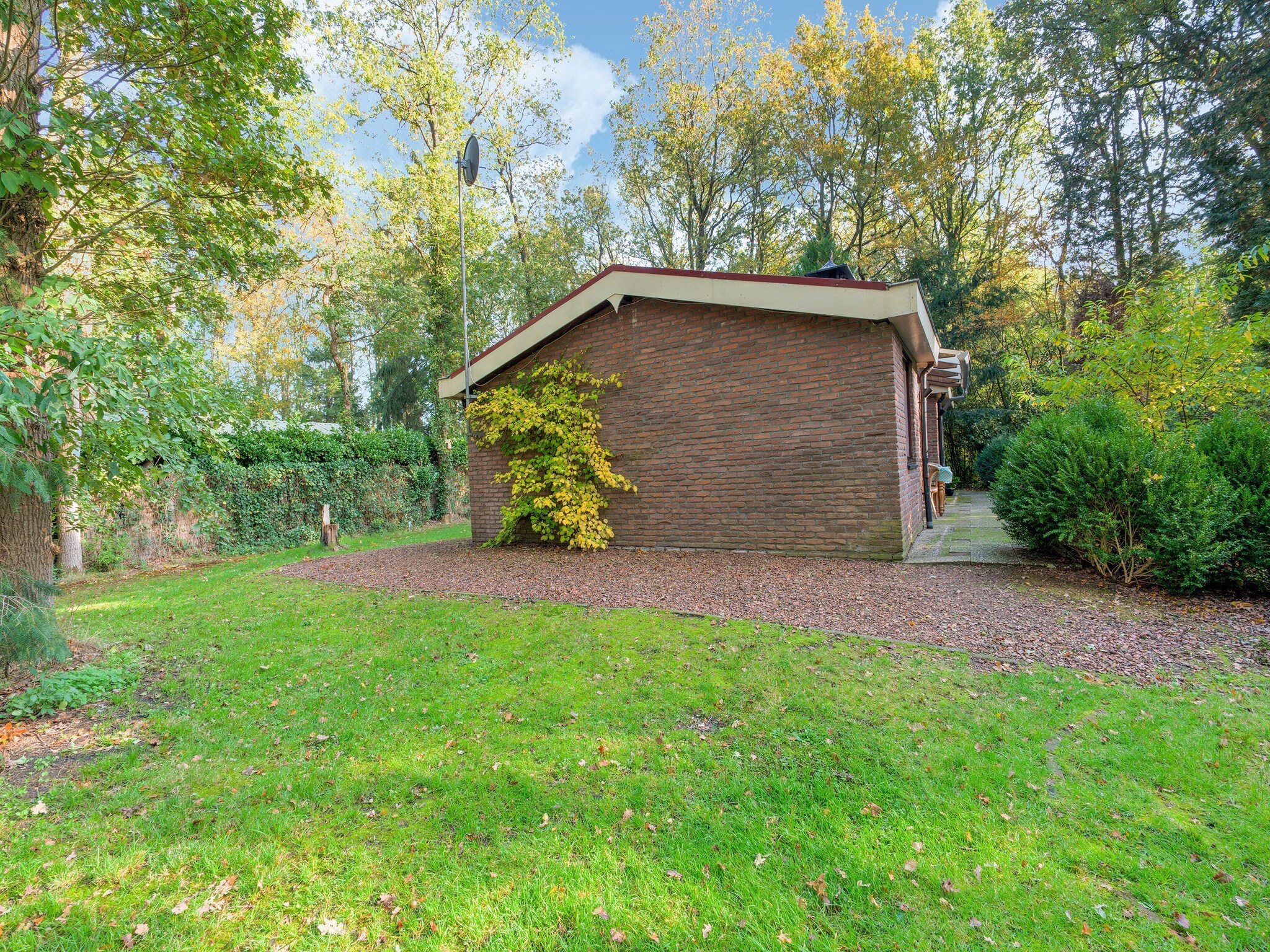   The Forest Cottage