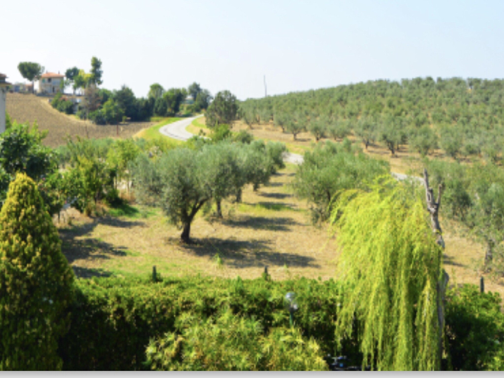   Villa Maria Teresa
