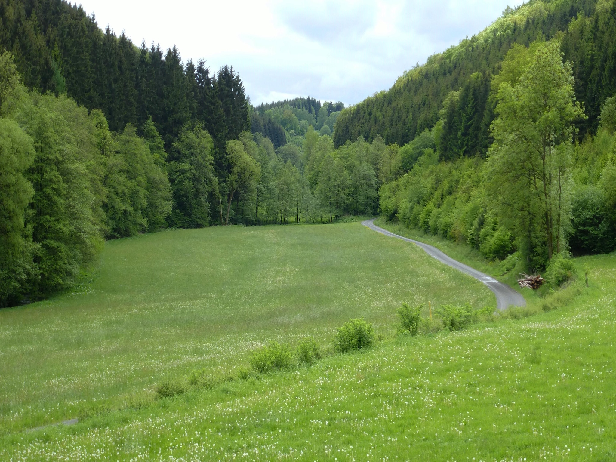 Ferienwohnung Wilzenberg II