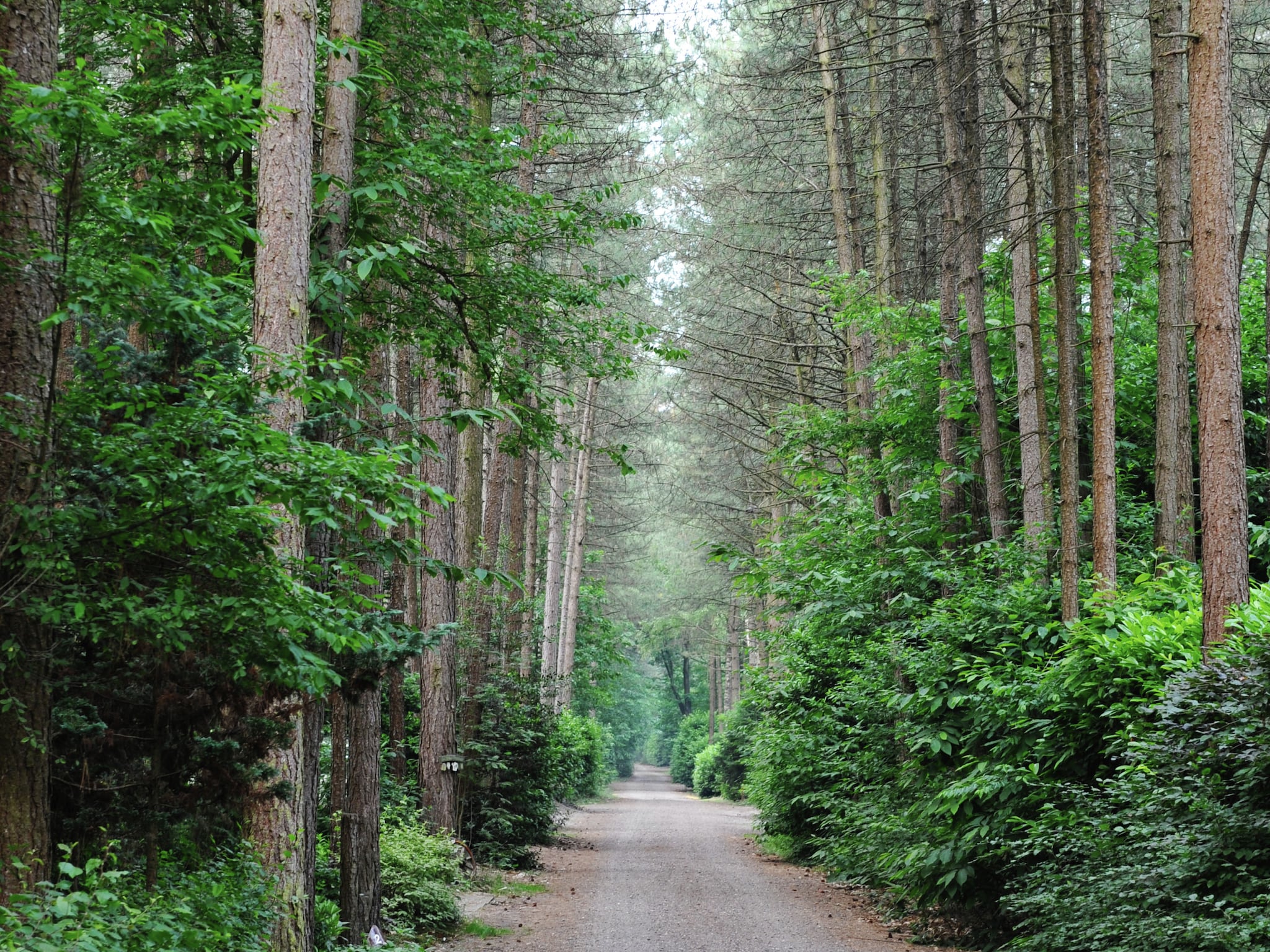 Dom Parc de Kievit 2