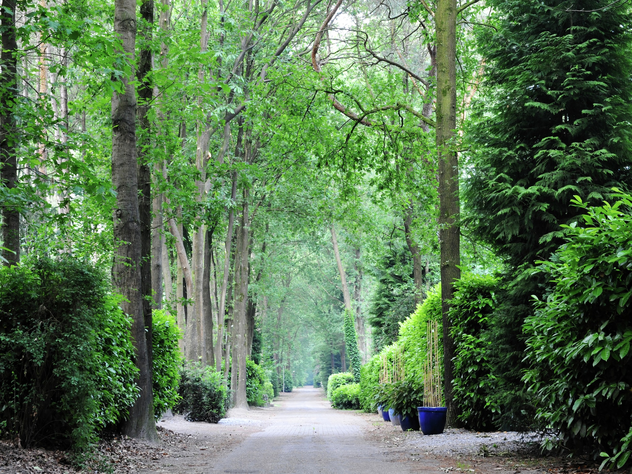Dom Parc de Kievit 2