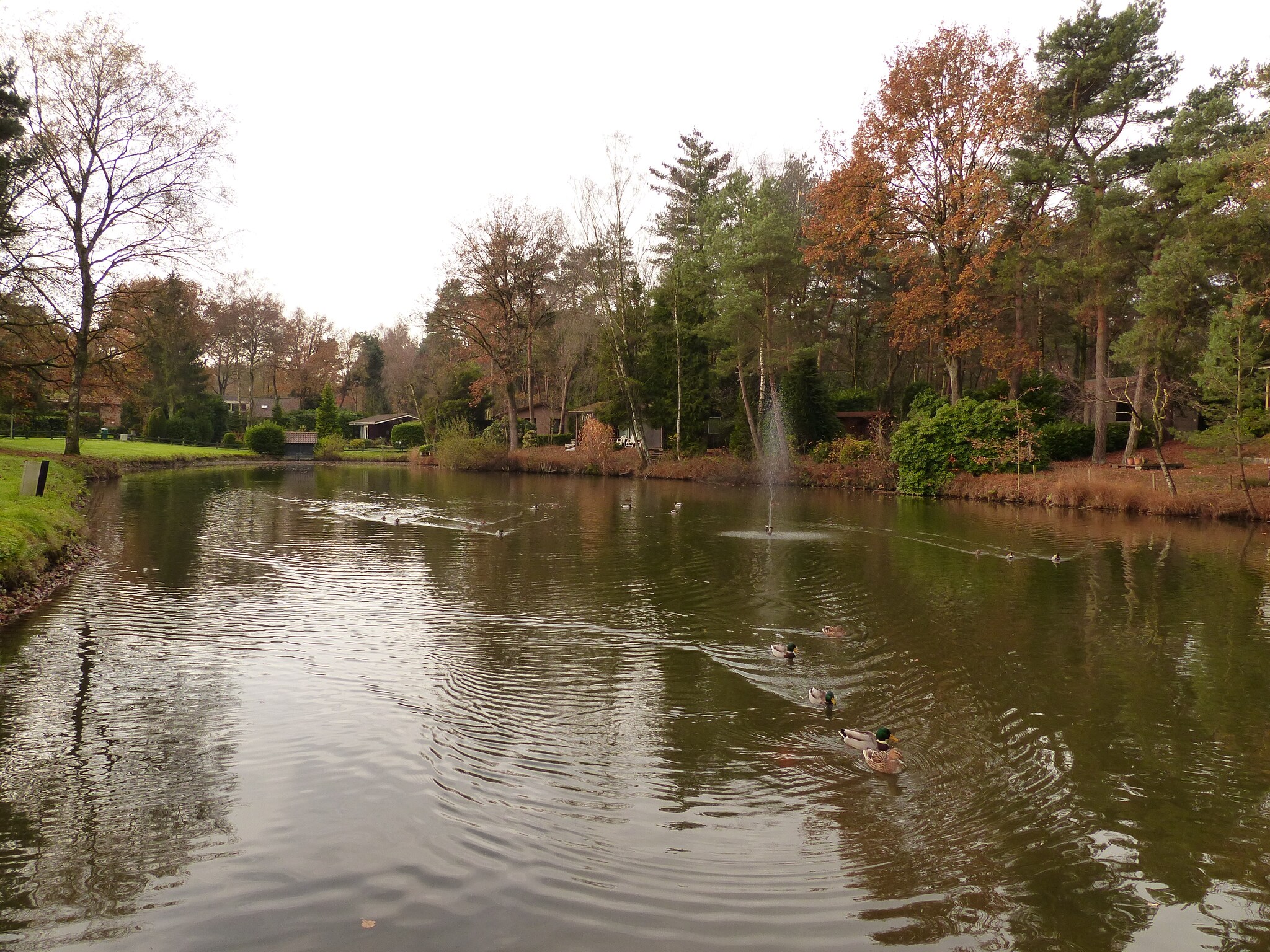 Dom Parc de Kievit 2