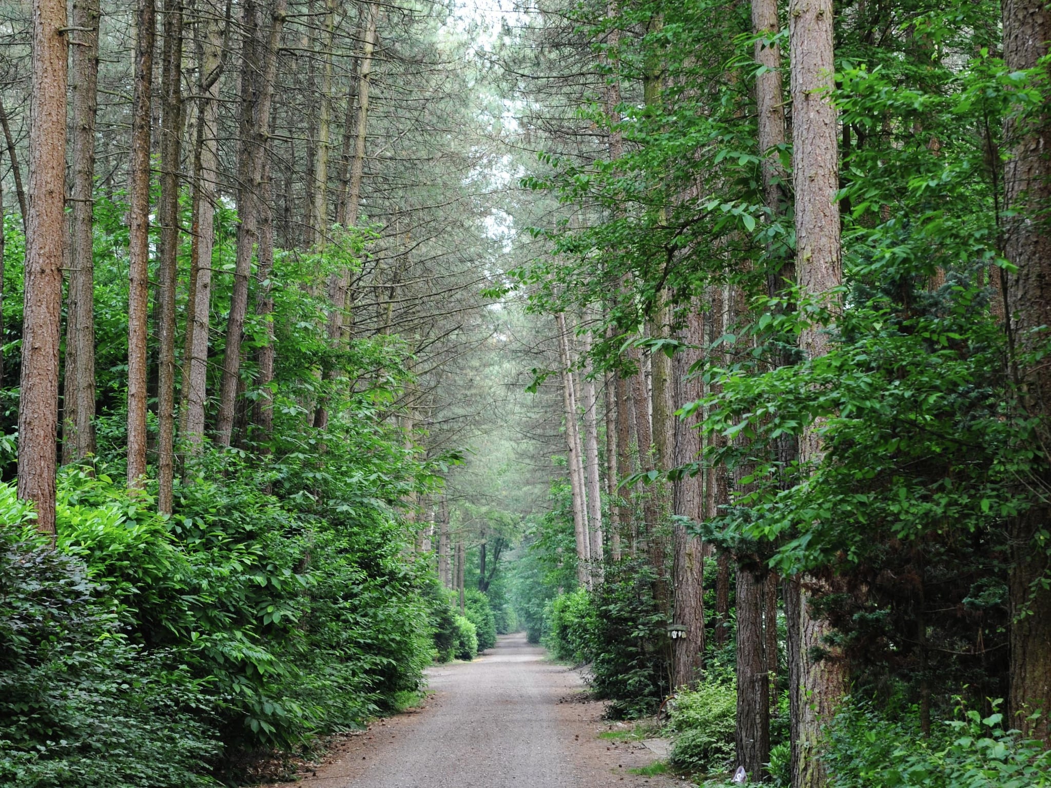 Dom Parc de Kievit 2
