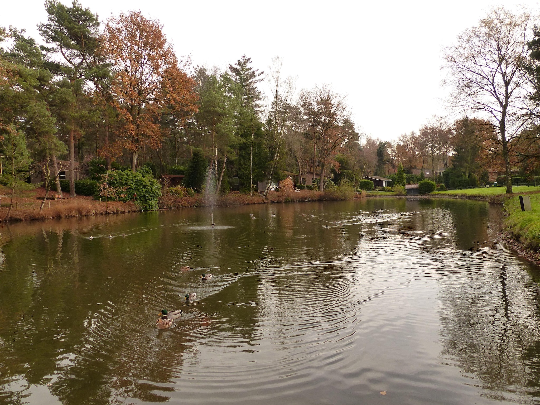 Dom Parc de Kievit 2