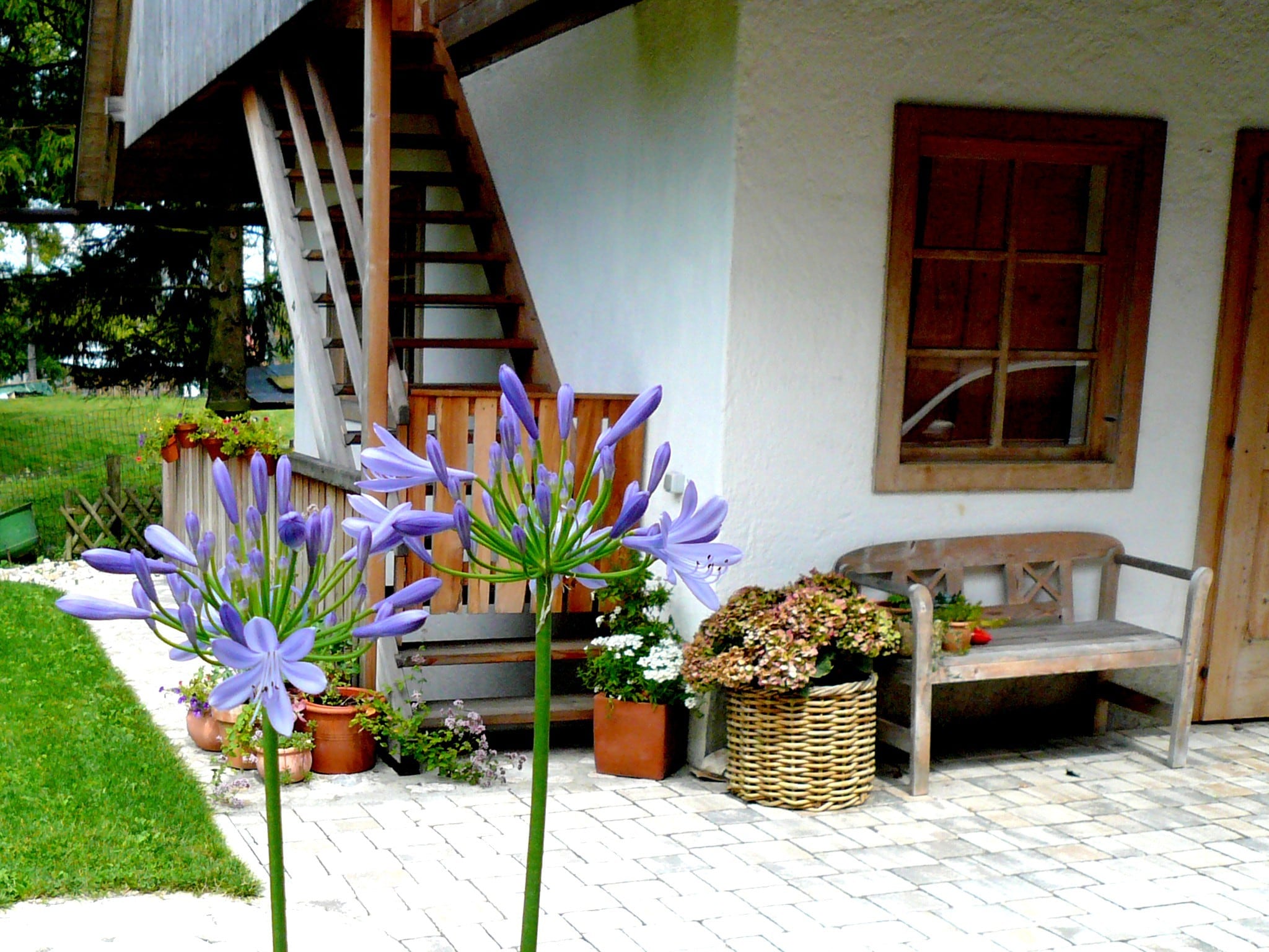   Ferienhaus Feistritz