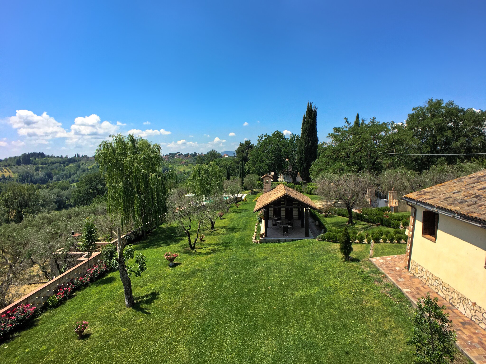   Martino