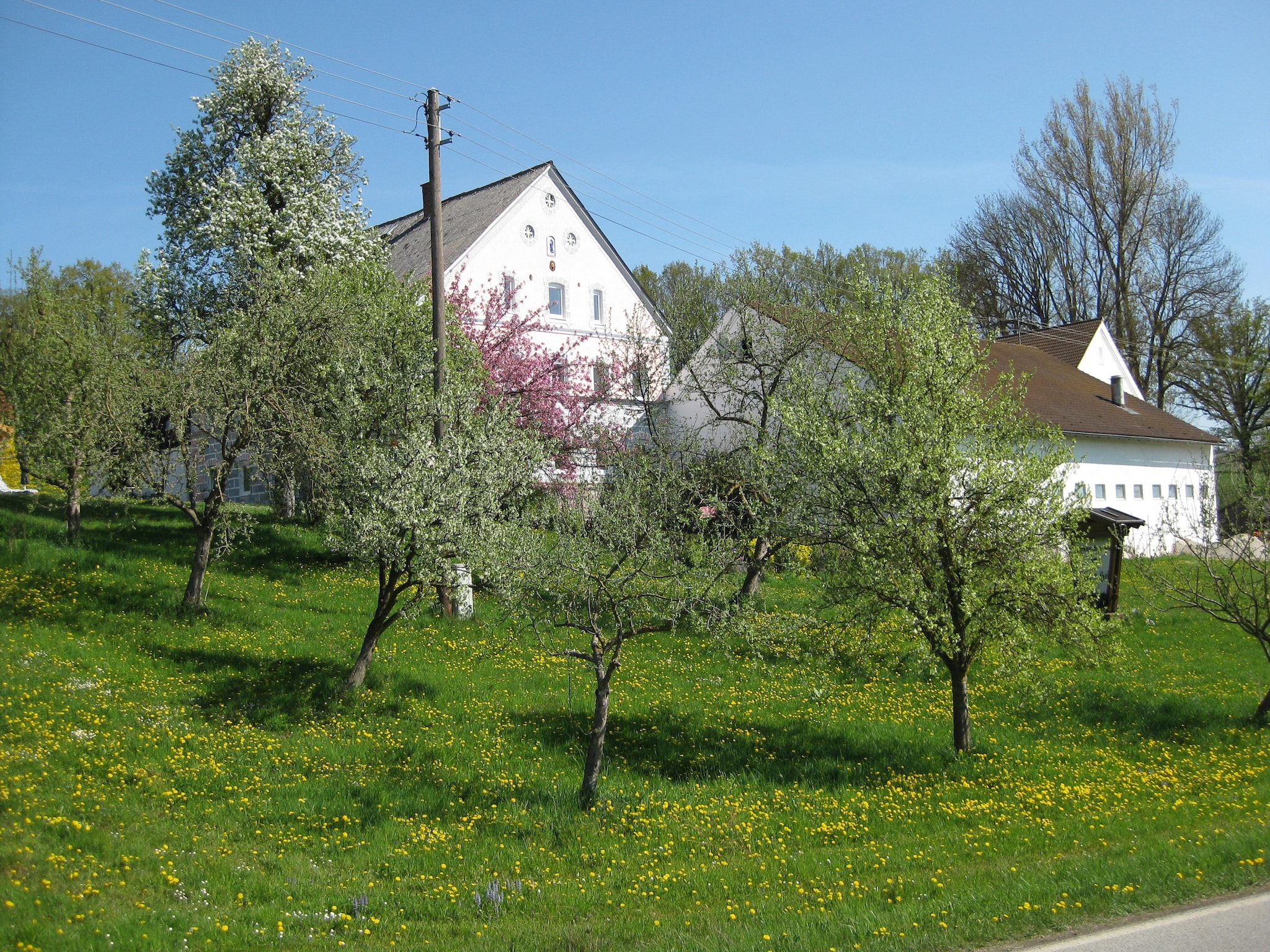 Ferienwohnung Am Ferienhof