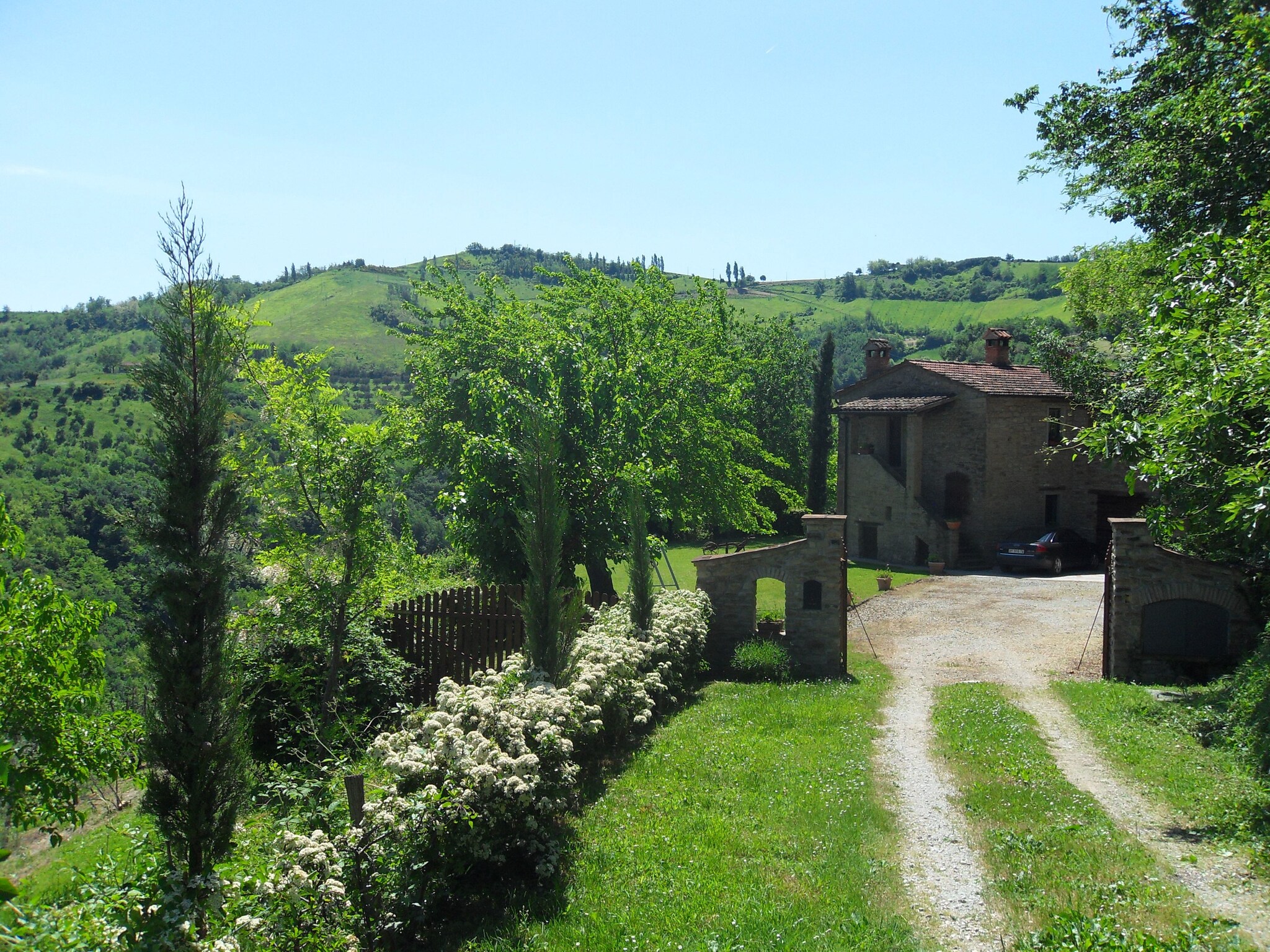   Il Glicine