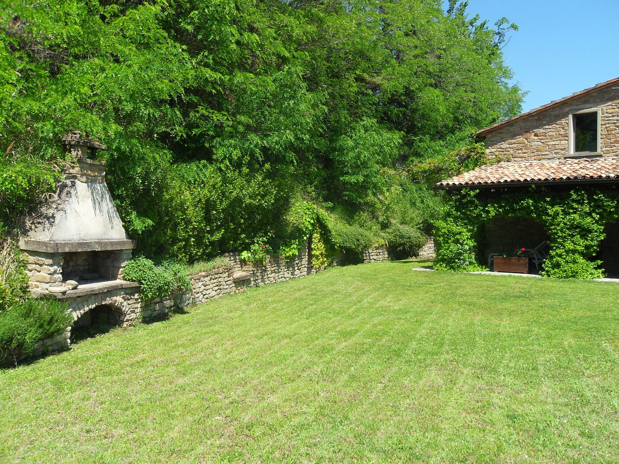   Il Glicine