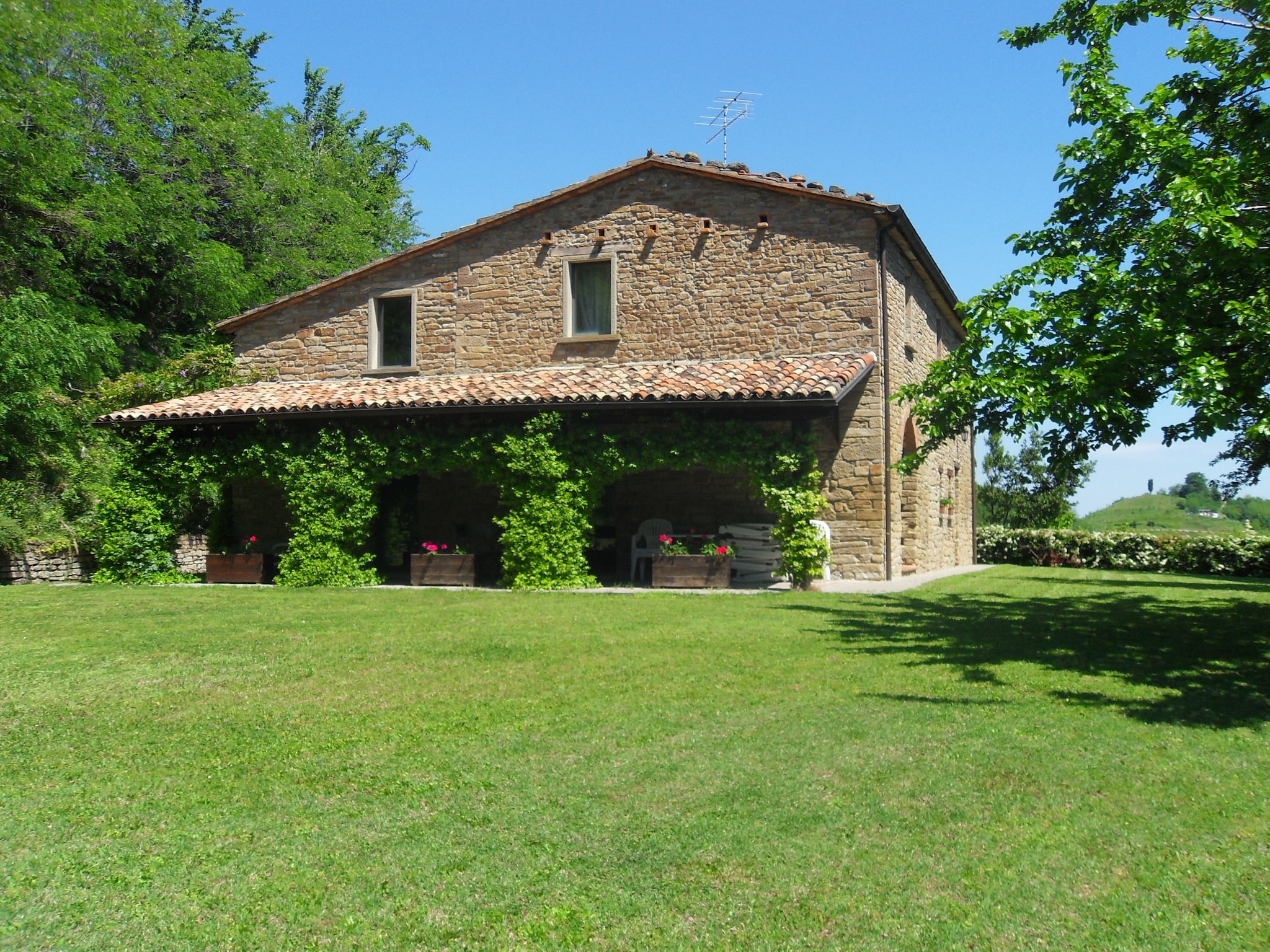   Il Glicine