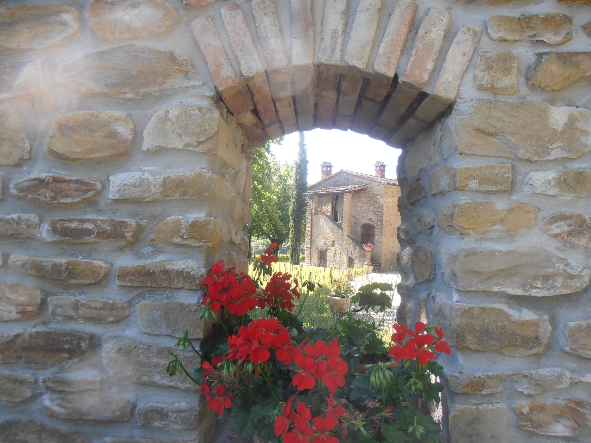   Il Glicine